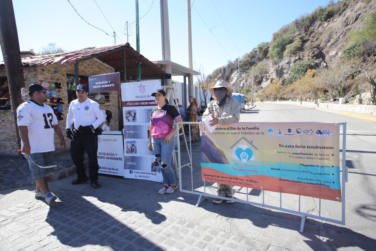 $!Llega al Faro de Mazatlán la feria de adopción y esterilización por el Día del Gato