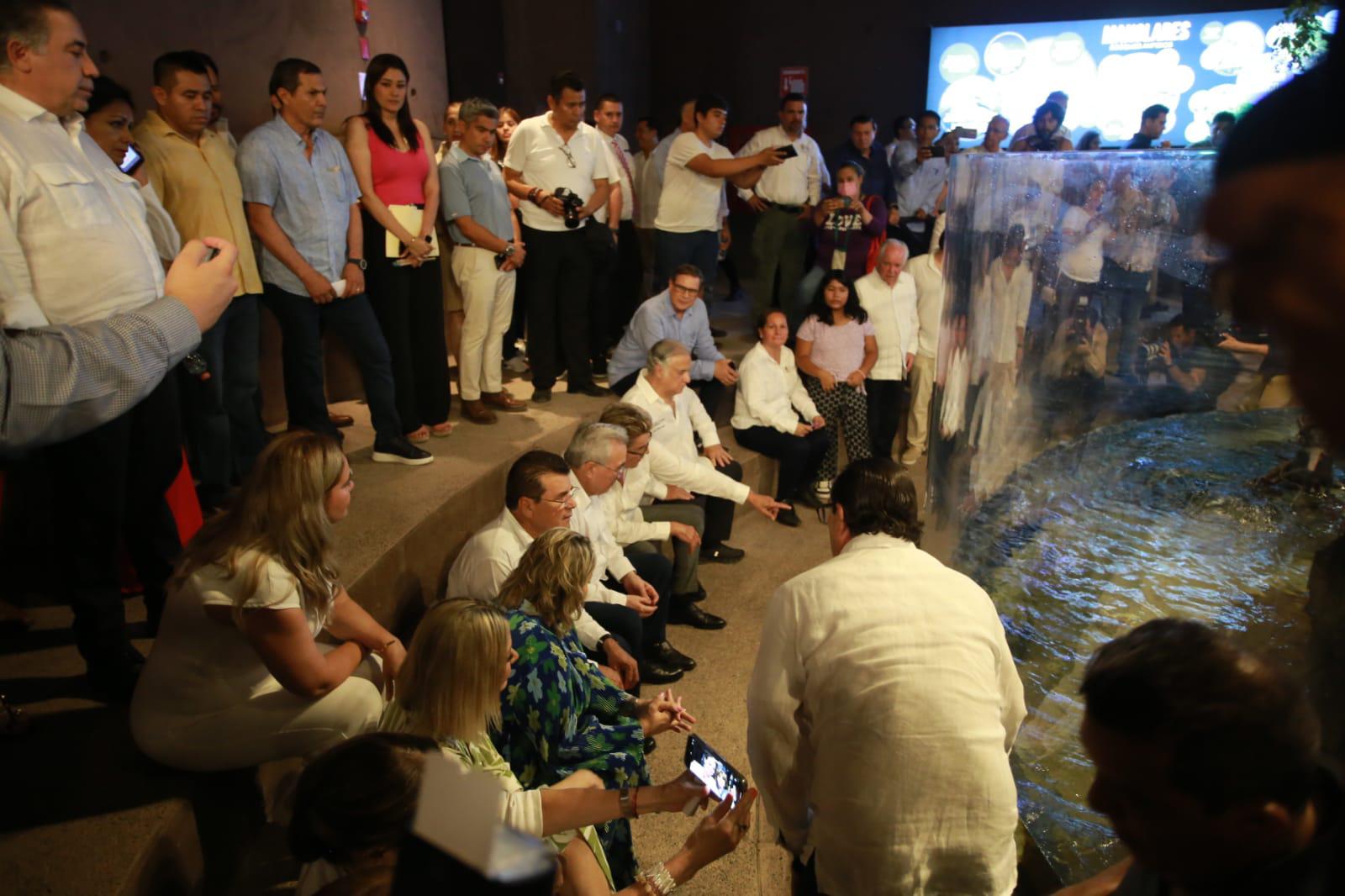 $!Inauguran el Gran Acuario Mazatlán Mar de Cortés, el más grande de América Latina