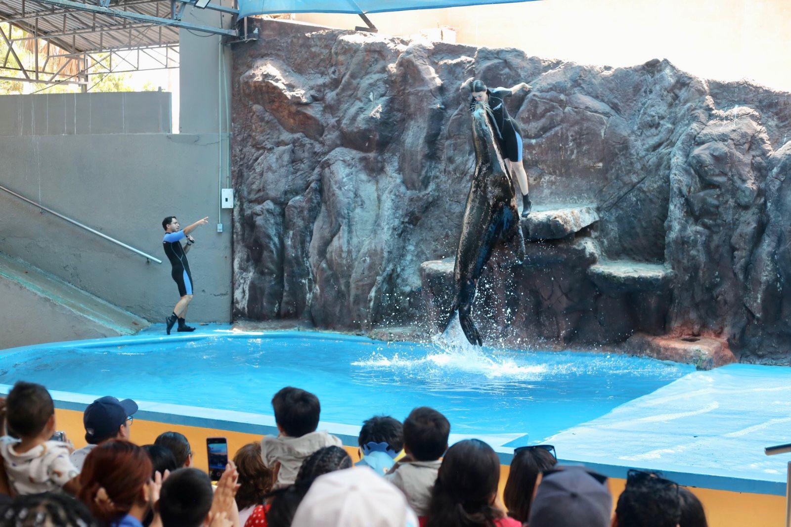 $!Hijos de trabajadores de Noroeste celebran el Día del Niño con una ‘exploración’ en el Gran Acuario de Mazatlán