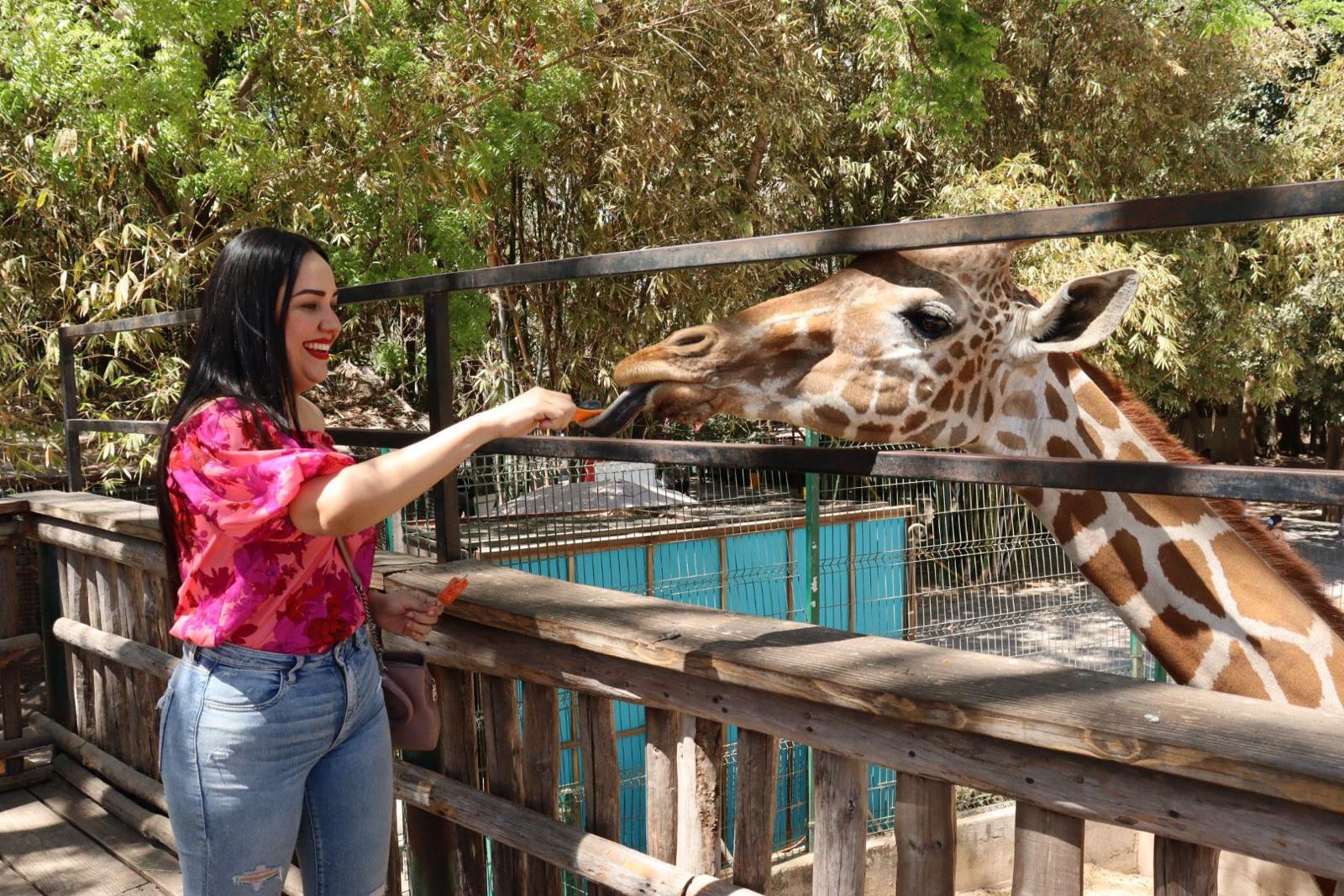 $!Culiacanenses disfrutan sus vacaciones en el Zoológico