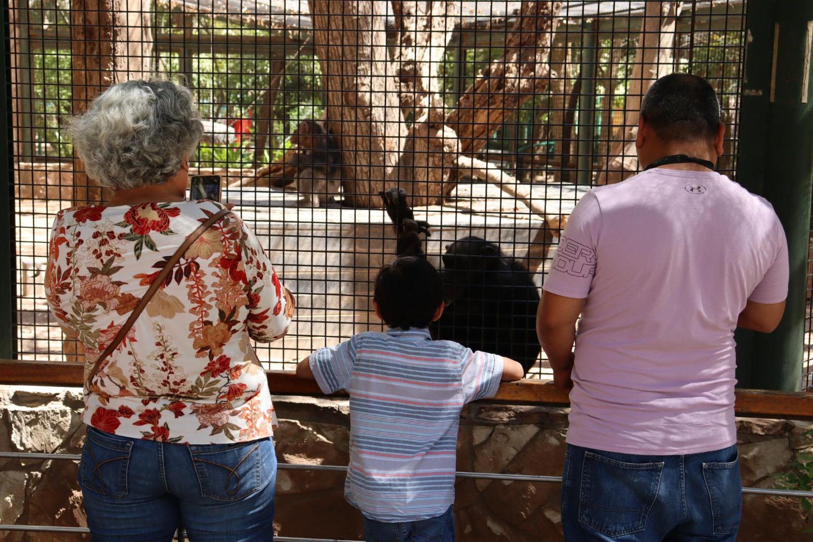 $!Culiacanenses disfrutan sus vacaciones en el Zoológico