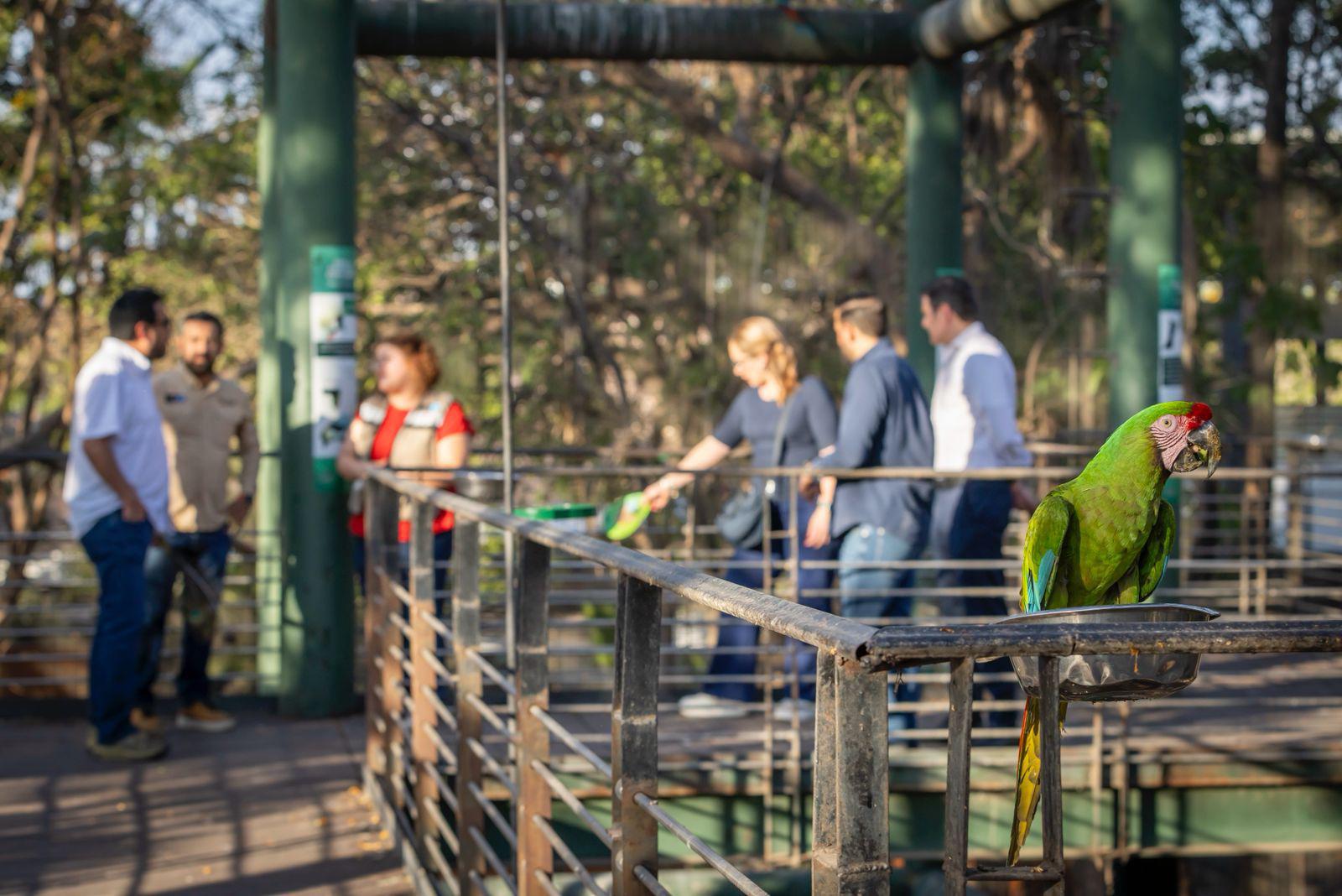 $!Comprueba Zoológico de Culiacán procedencia de 119 animales y solventa irregularidades