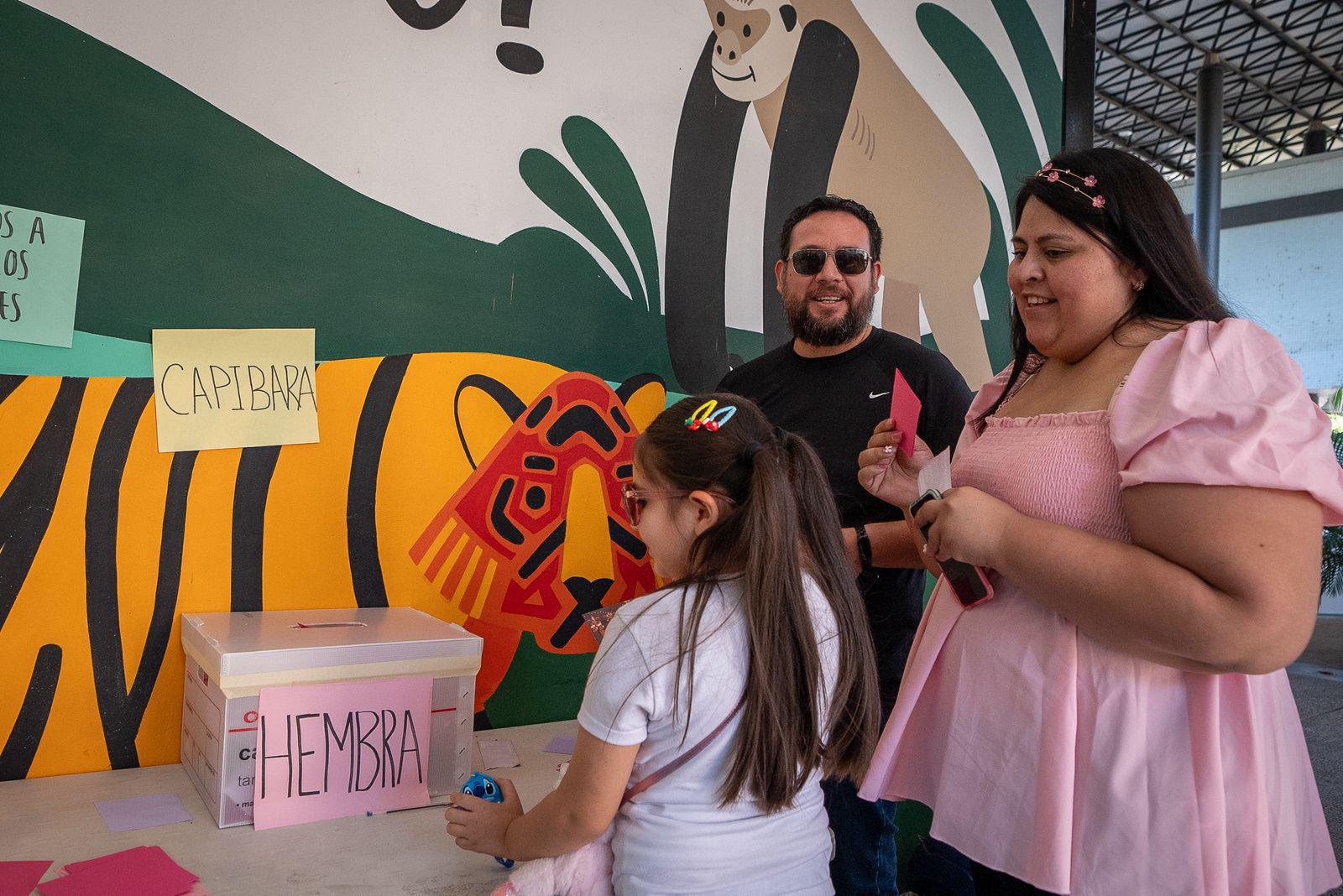 $!Buscan nombre para los nuevos capibaras y niños de Culiacán participan en dinámica del Zoológico de Culiacán
