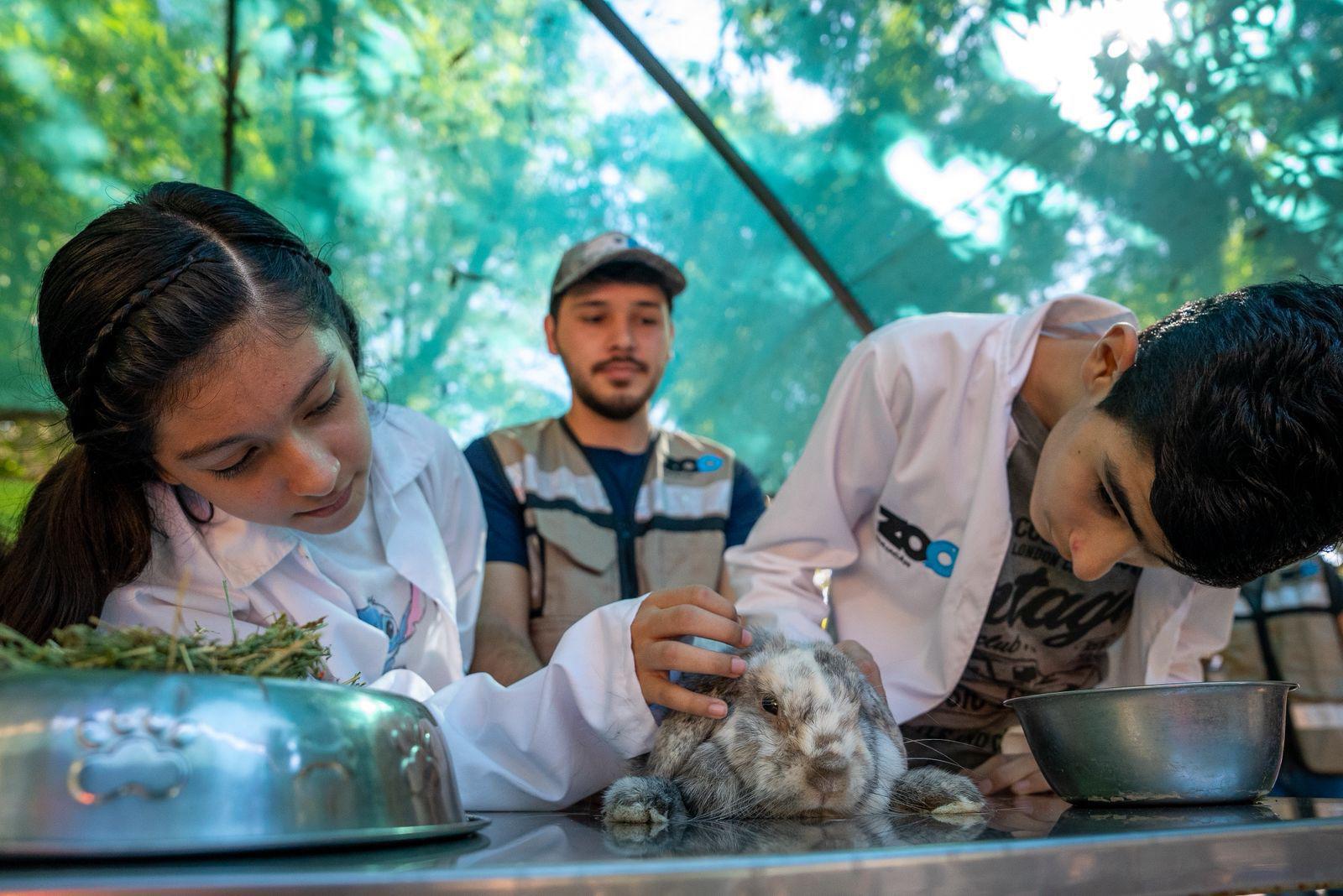 $!Buscan nombre para los nuevos capibaras y niños de Culiacán participan en dinámica del Zoológico de Culiacán