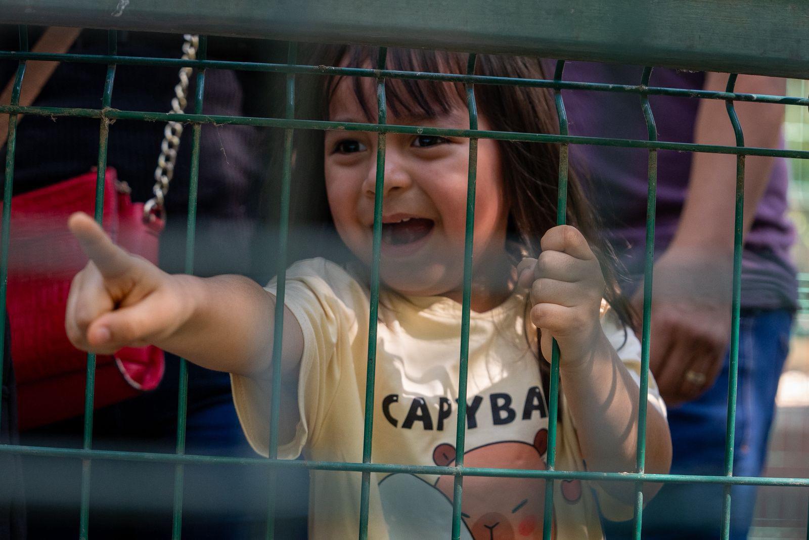 $!Buscan nombre para los nuevos capibaras y niños de Culiacán participan en dinámica del Zoológico de Culiacán