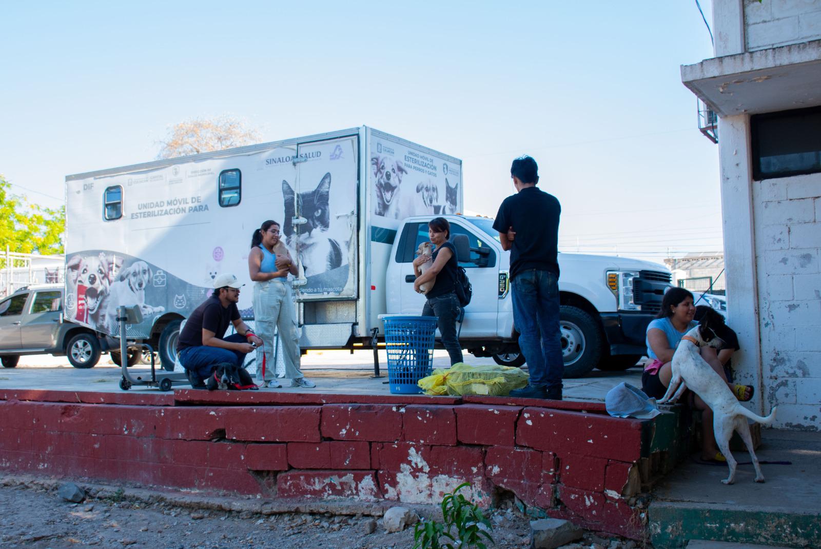 $!Mantiene Unidad DIF su jornada permanente de esterilización gratuita en El Vallado