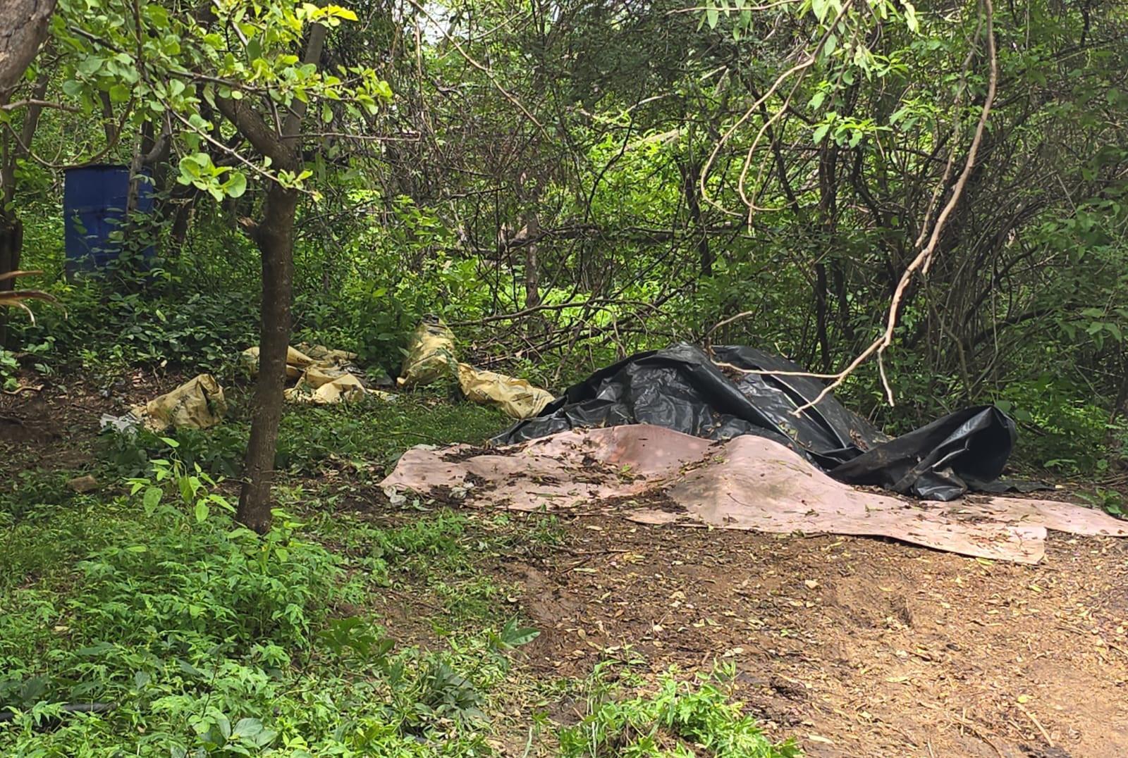 $!Marina localiza y destruye tres laboratorios clandestinos en Sinaloa
