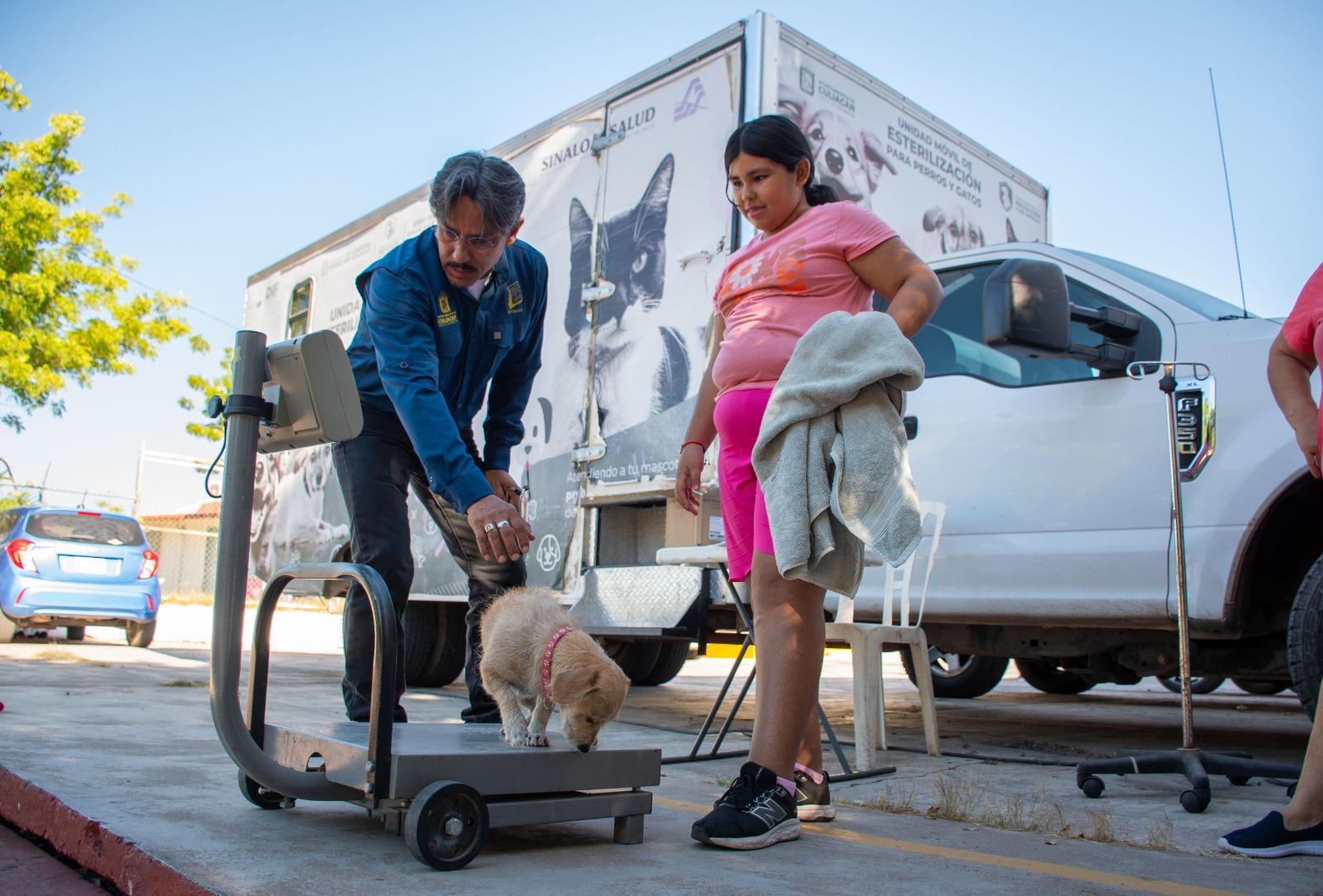 $!Llevan jornada de esterilización para mascotas a la colonia El Vallado, en Culiacán