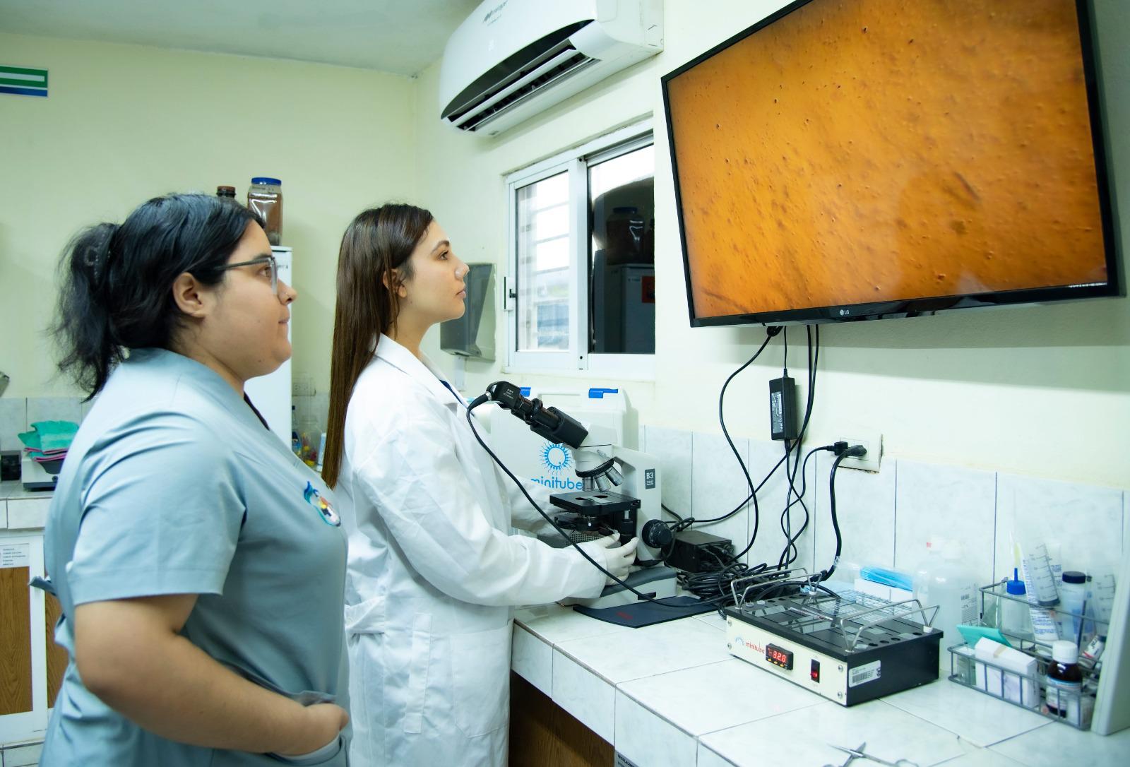 $!La Veterinaria y Zootecnia de la UAS, más de cuatro décadas de excelencia y liderazgo