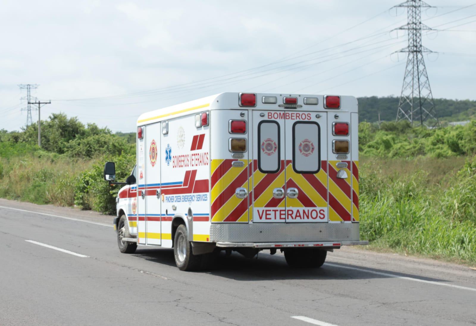 $!Mueren abuelo y nieto tras ataque de abejas en un rancho al sur de Mazatlán