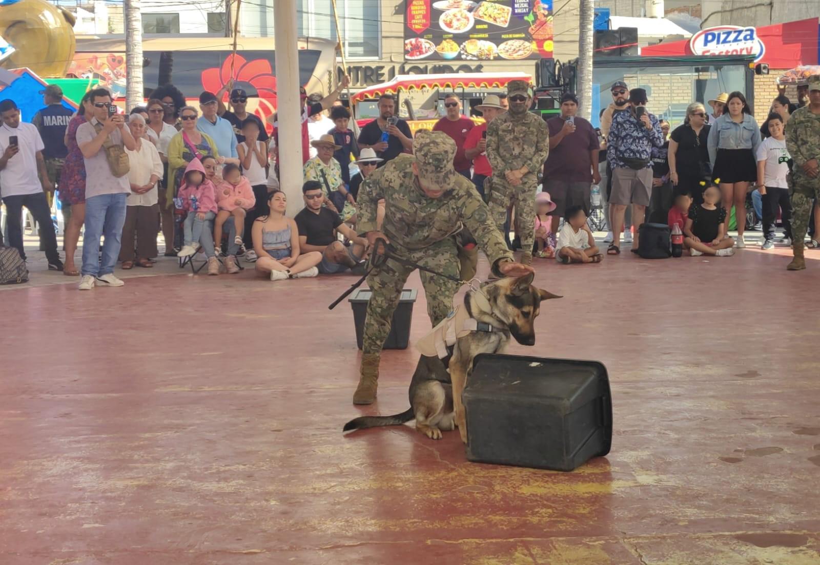 $!Marina realiza demostración de binomios caninos y rescate marítimo en Mazatlán