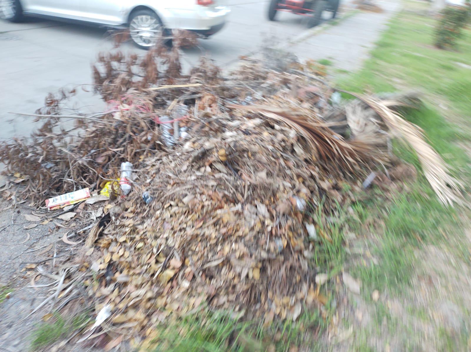 $!Piden en Parque de la López Mateos retirar restos de árboles y ramas derribadas por huracán