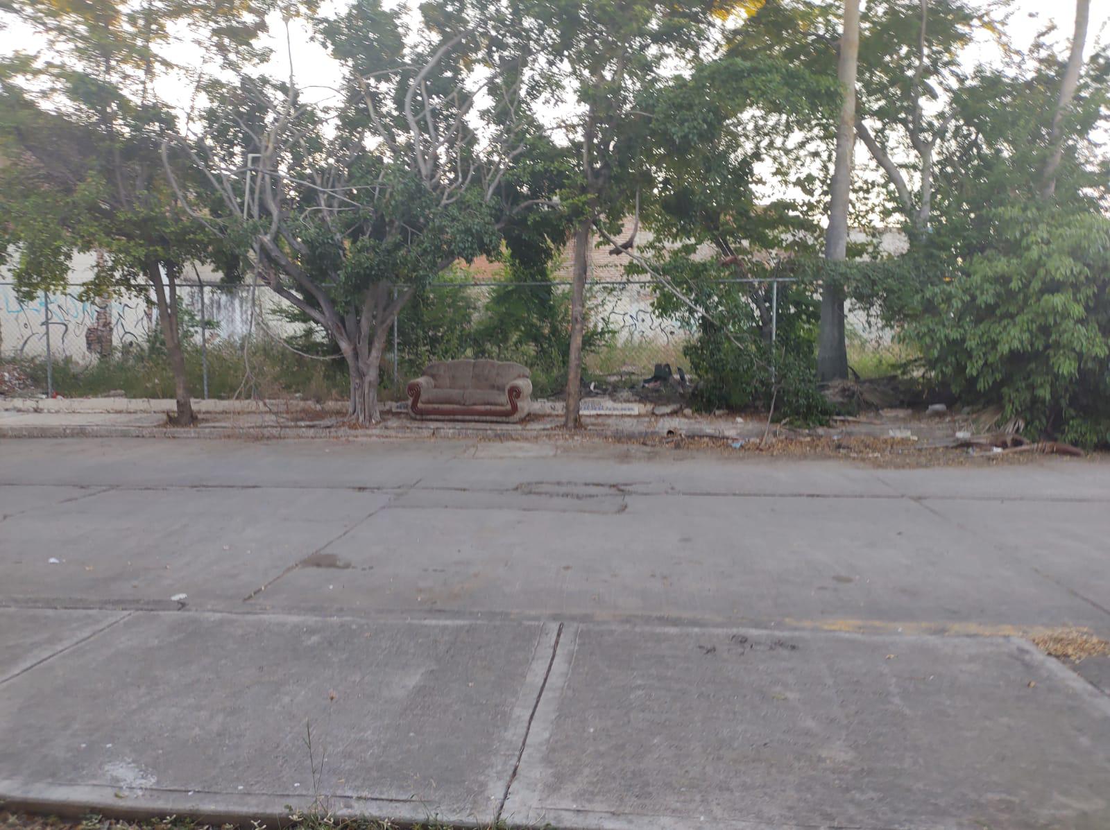 $!Piden en Parque de la López Mateos retirar restos de árboles y ramas derribadas por huracán