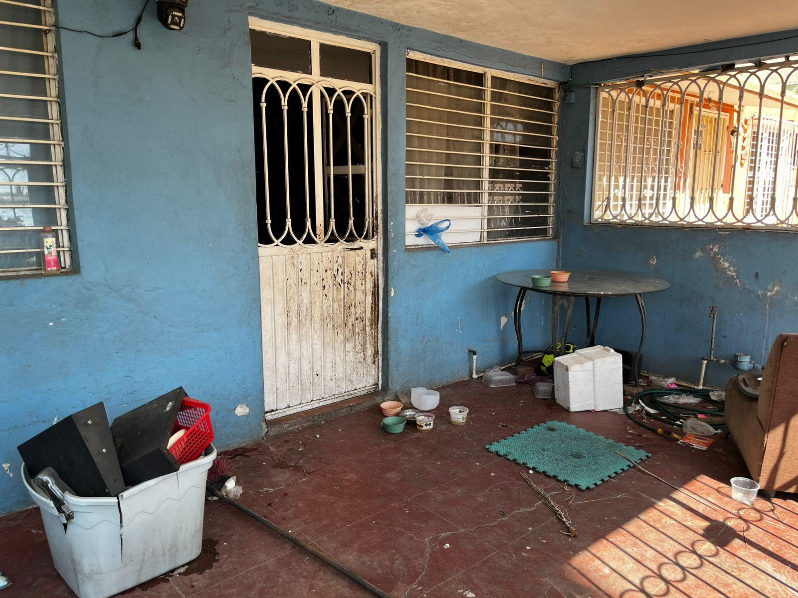 $!Denuncian vecinos de Infonavit Playas abandono masivo de gatos y focos de infección