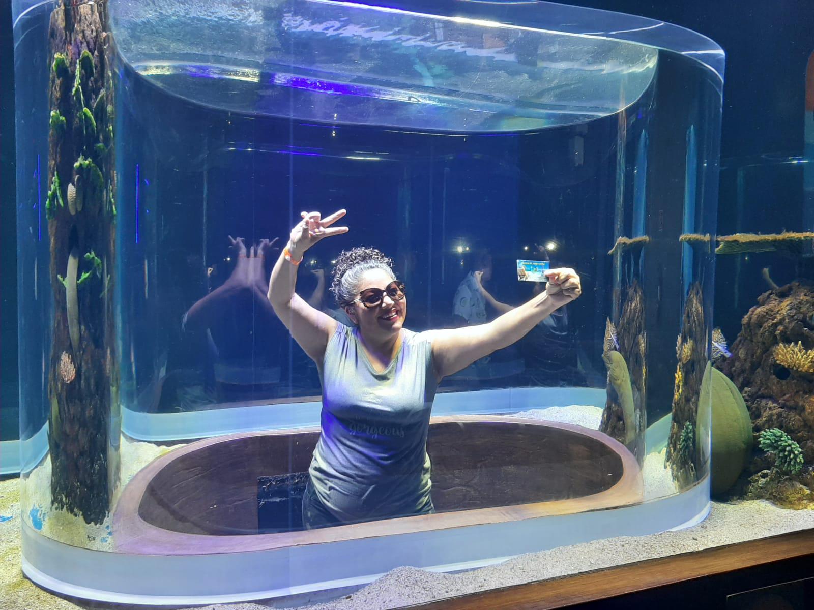 $!Agentes de viajes del país experimentan el Gran Acuario Mazatlán Mar de Cortés