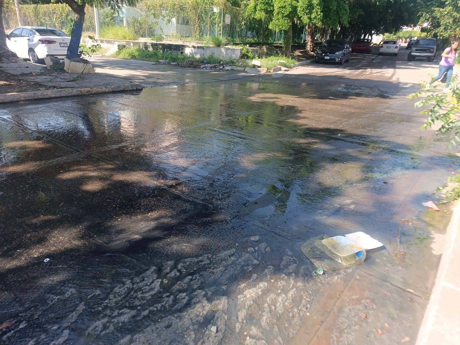 $!Vecinos de la colonia Juan Carrasco, en Mazatlán, reprochan tener que vivir con aguas negras
