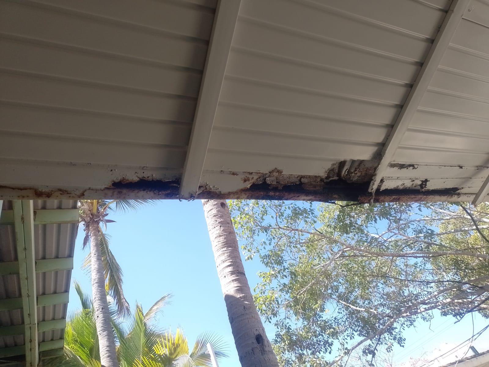 $!Deterioro y abejas acechan a plantel de preescolar en Mazatlán