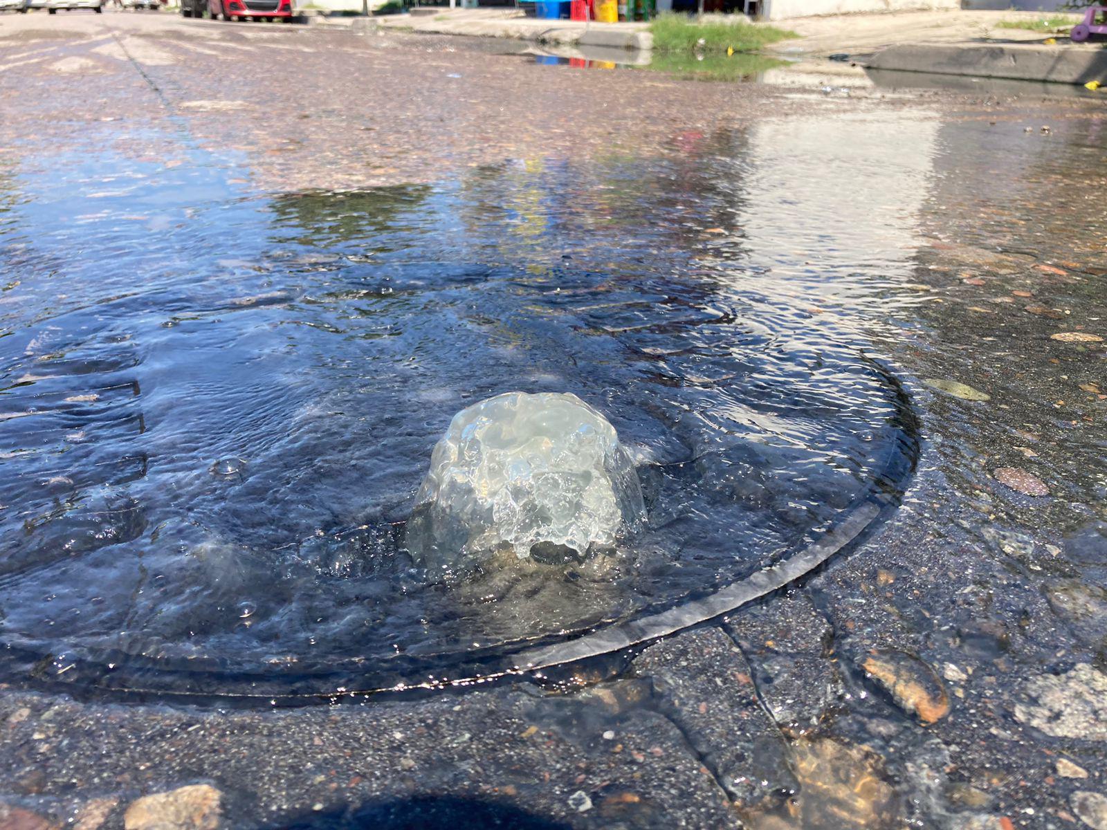 $!Brota drenaje y corre por calles de la 20 de Noviembre; No aguantan los fétidos olores