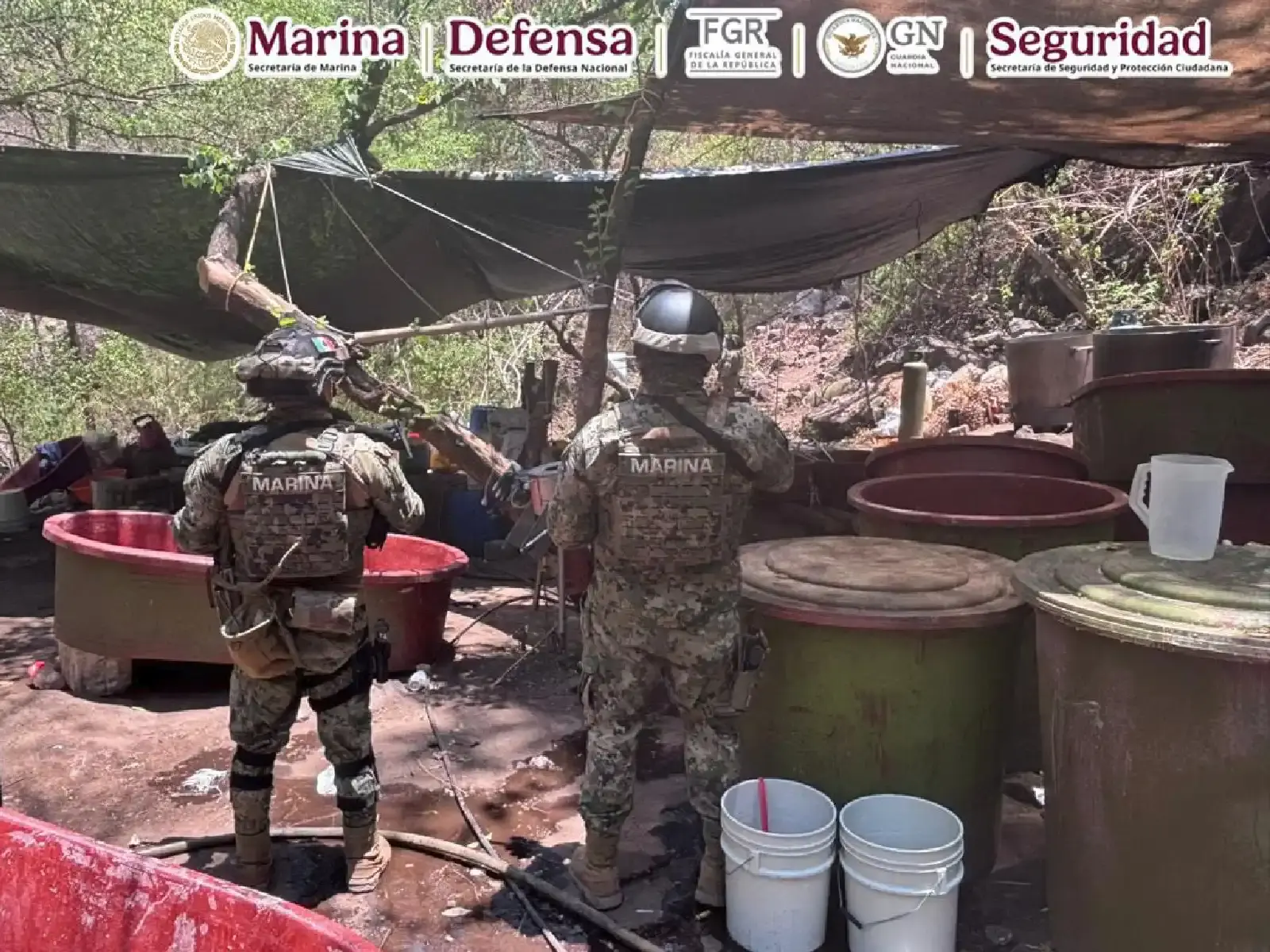 $!Los desmantelamientos se llevaron a cabo en Sinaloa, Nayarit y Jalisco.