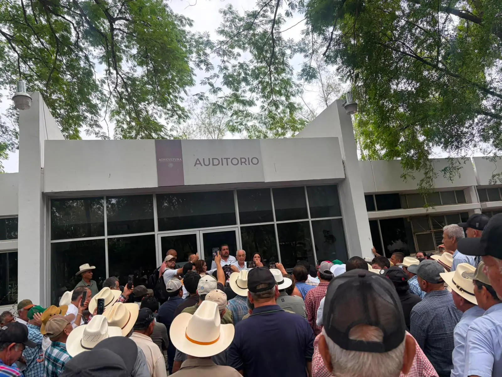 $!Agricultores se manifiestan en la delegación de la Secretaría de Agricultura de Sinaloa para exigir pago de apoyos pendientes al maíz