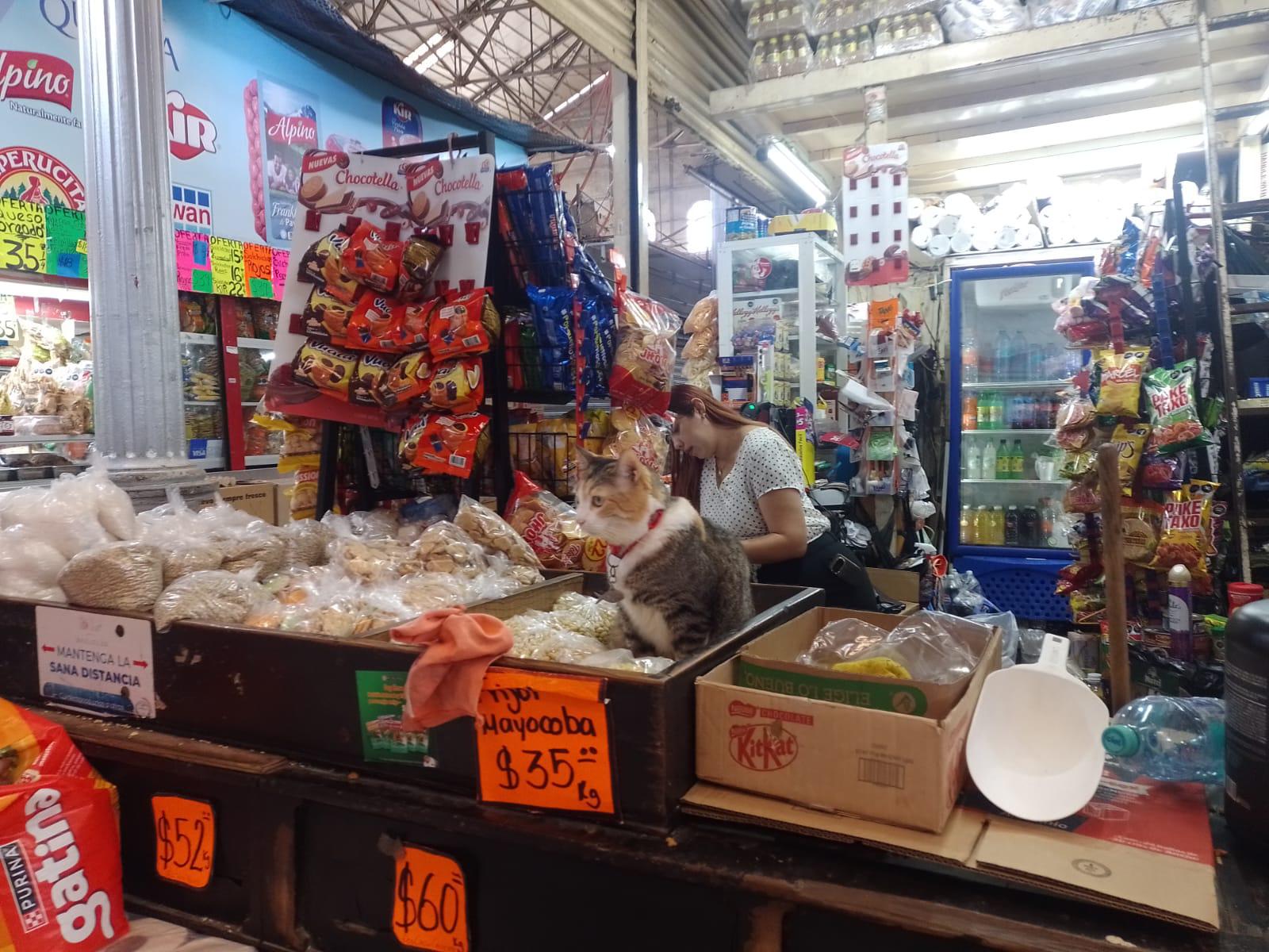 $!Aumentan precios de varios alimentos en Mazatlán durante marzo