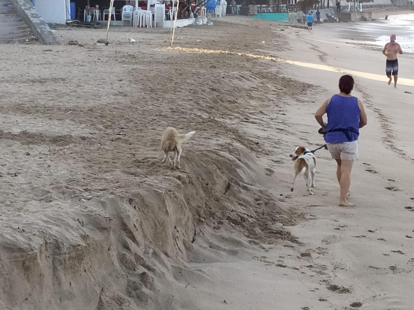 $!El huracán Nora ocasionó un fuerte oleaje a su paso por Mazatlán y dejó playas erosionadas