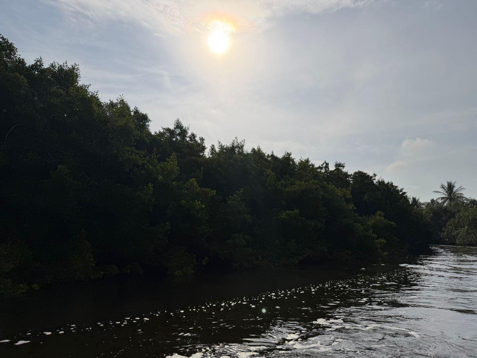 $!Impulsa Sectur turismo regenerativo en humedales y manglares de Mazatlán