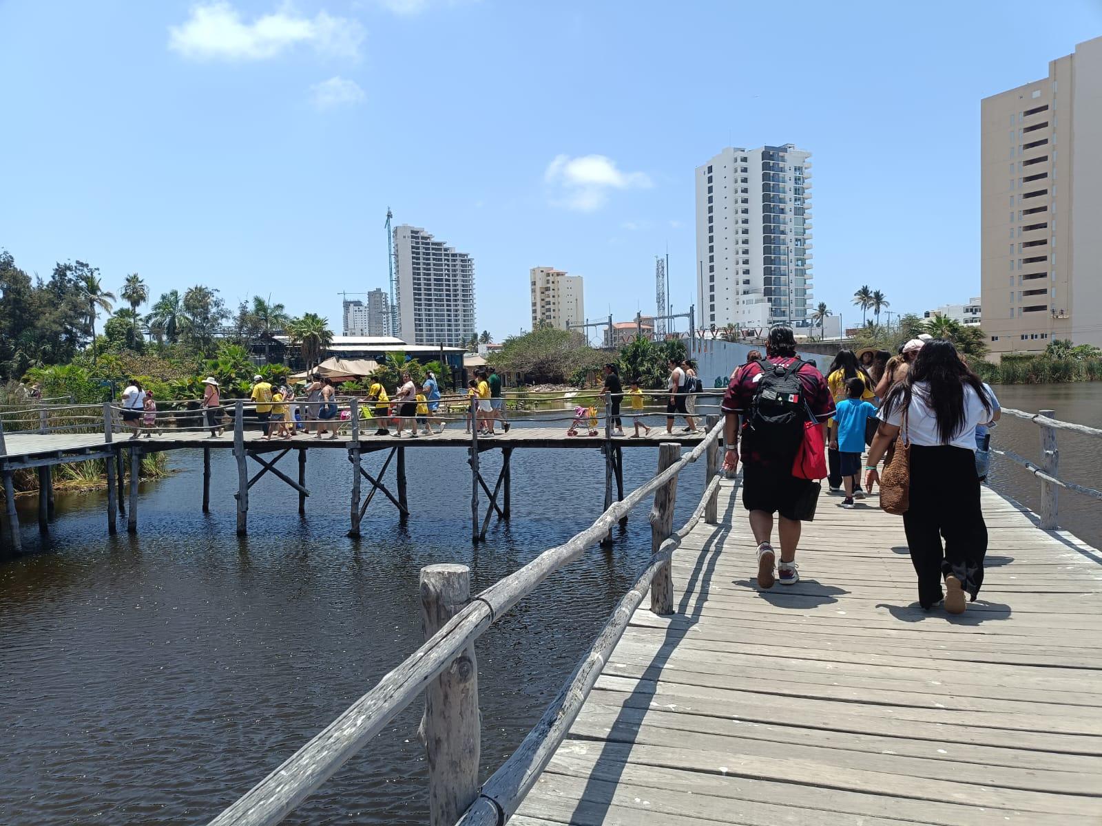 $!Niños de La Laguna cumplen en Mazatlán su sueño de conocer el mar