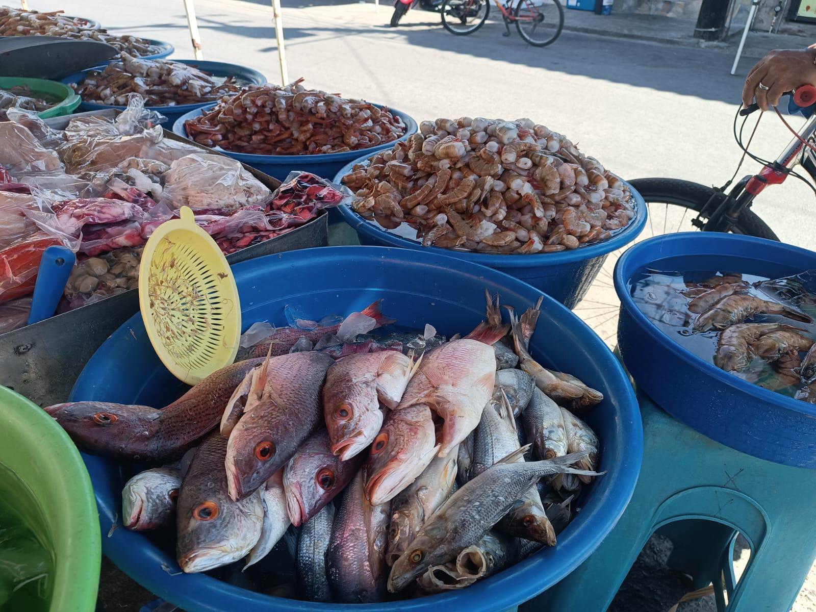 $!Reportan pescadores y ‘changueras’ pocas ventas pese a ser temporada de Cuaresma