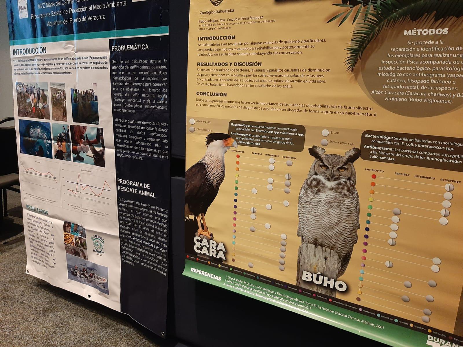 $!Se enfocan en el cuidado y preservación animal