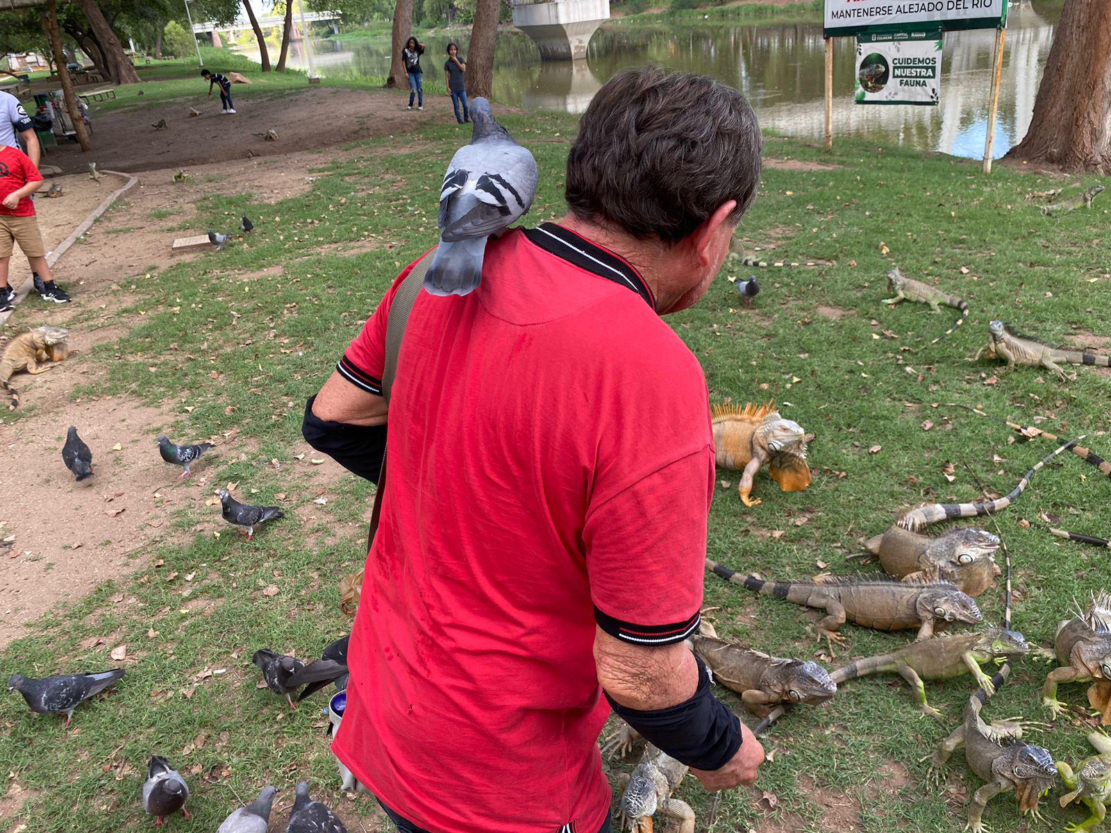 $!Antonio, el amigo de las iguanas, palomas y ardillas de Las Riberas, en Culiacán