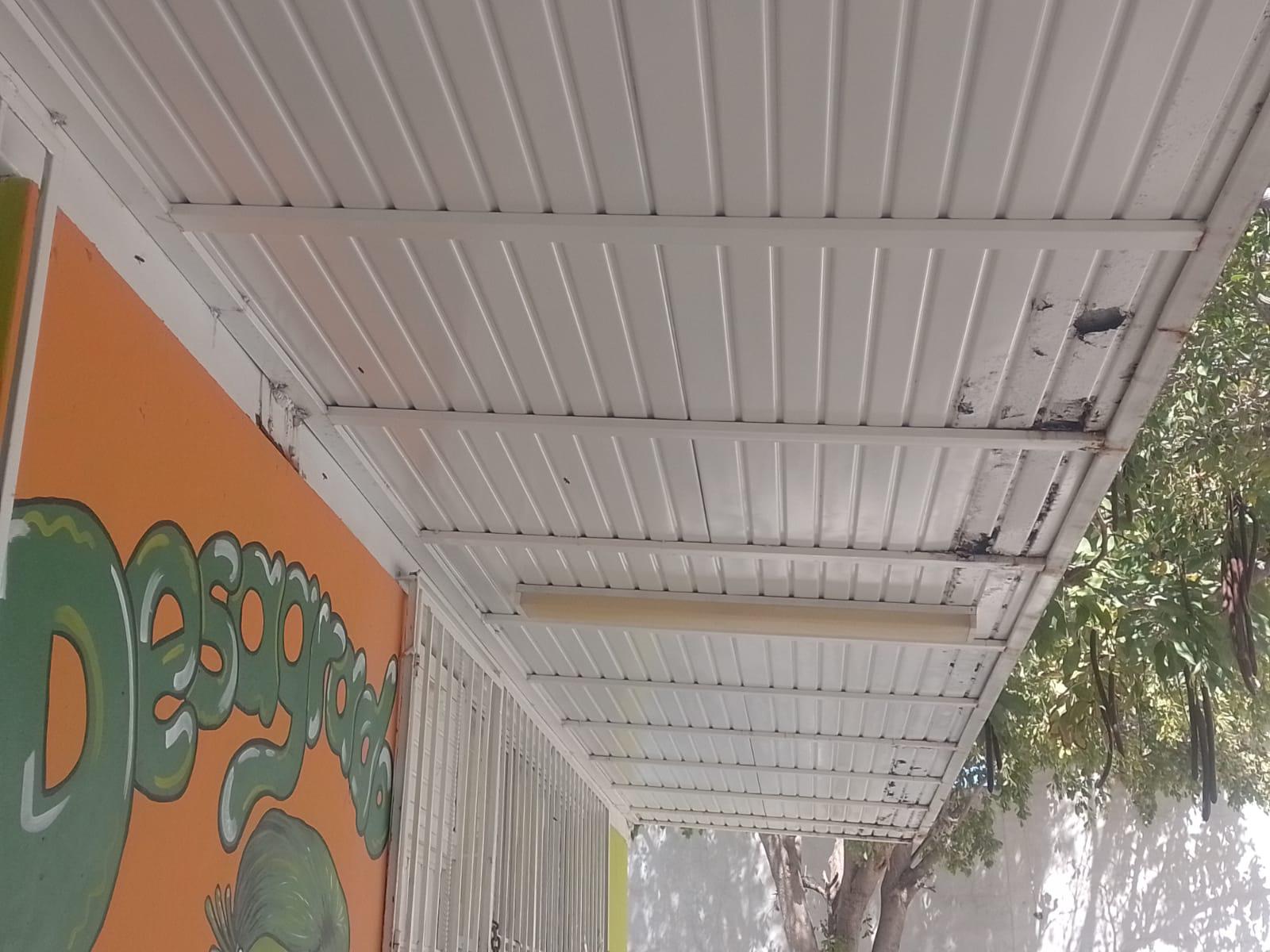 $!Deterioro y abejas acechan a plantel de preescolar en Mazatlán