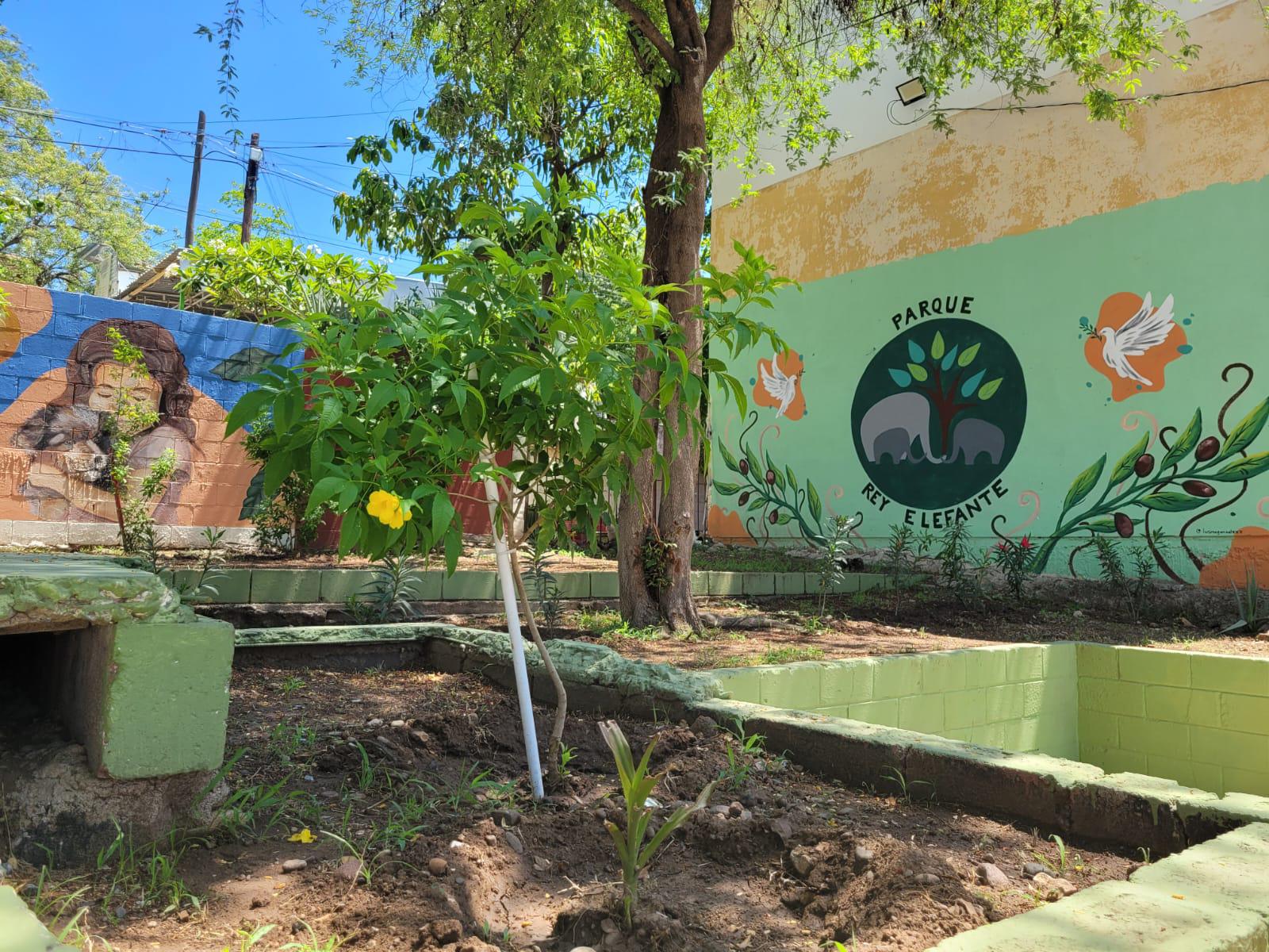 $!Vecinas de Cañadas, en Culiacán, defienden y cuidan el parque de la colonia