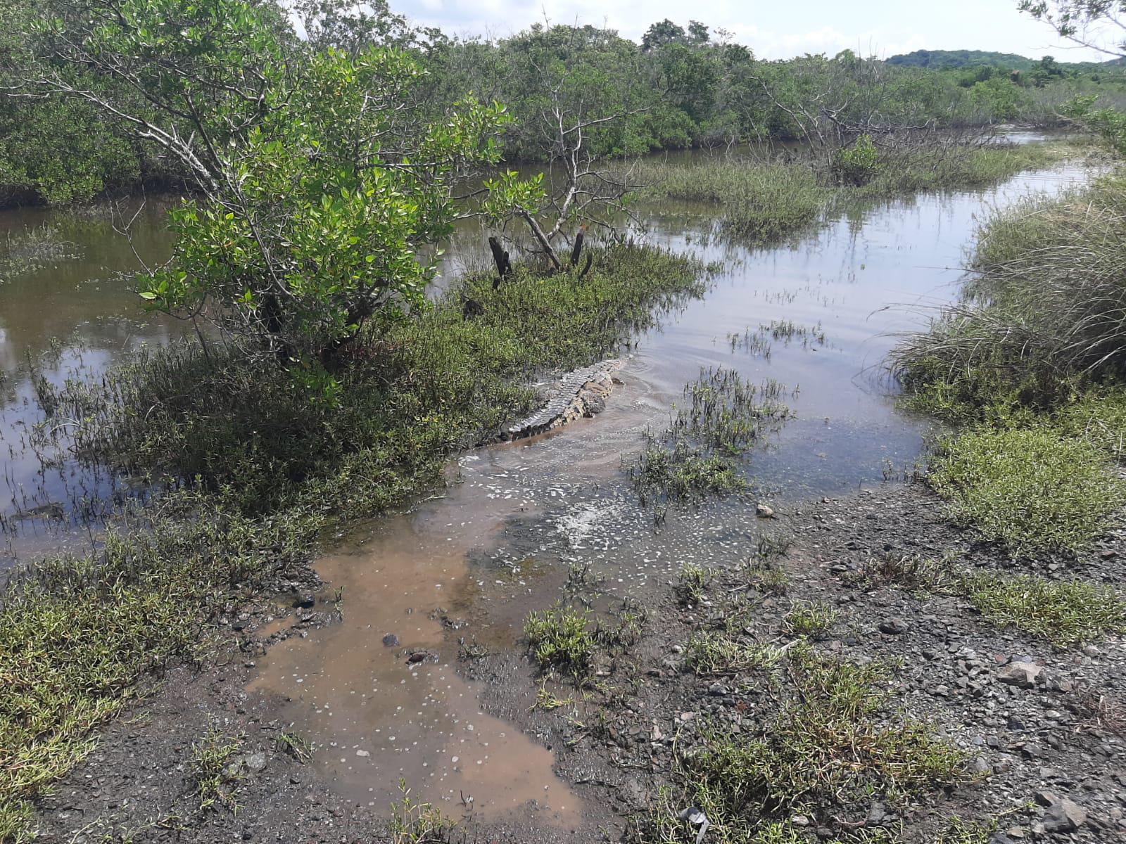 $!Foto: Cortesía Ayuntamiento de Mazatlán