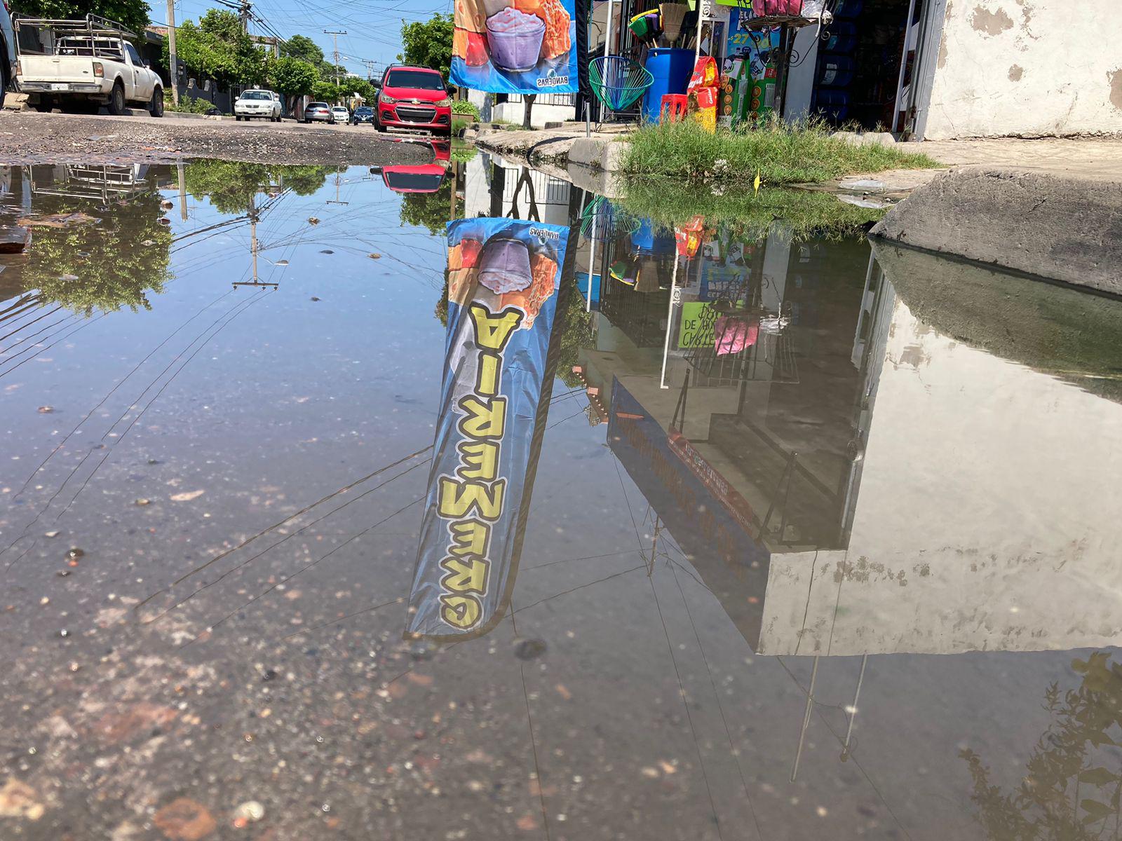 $!Brota drenaje y corre por calles de la 20 de Noviembre; No aguantan los fétidos olores