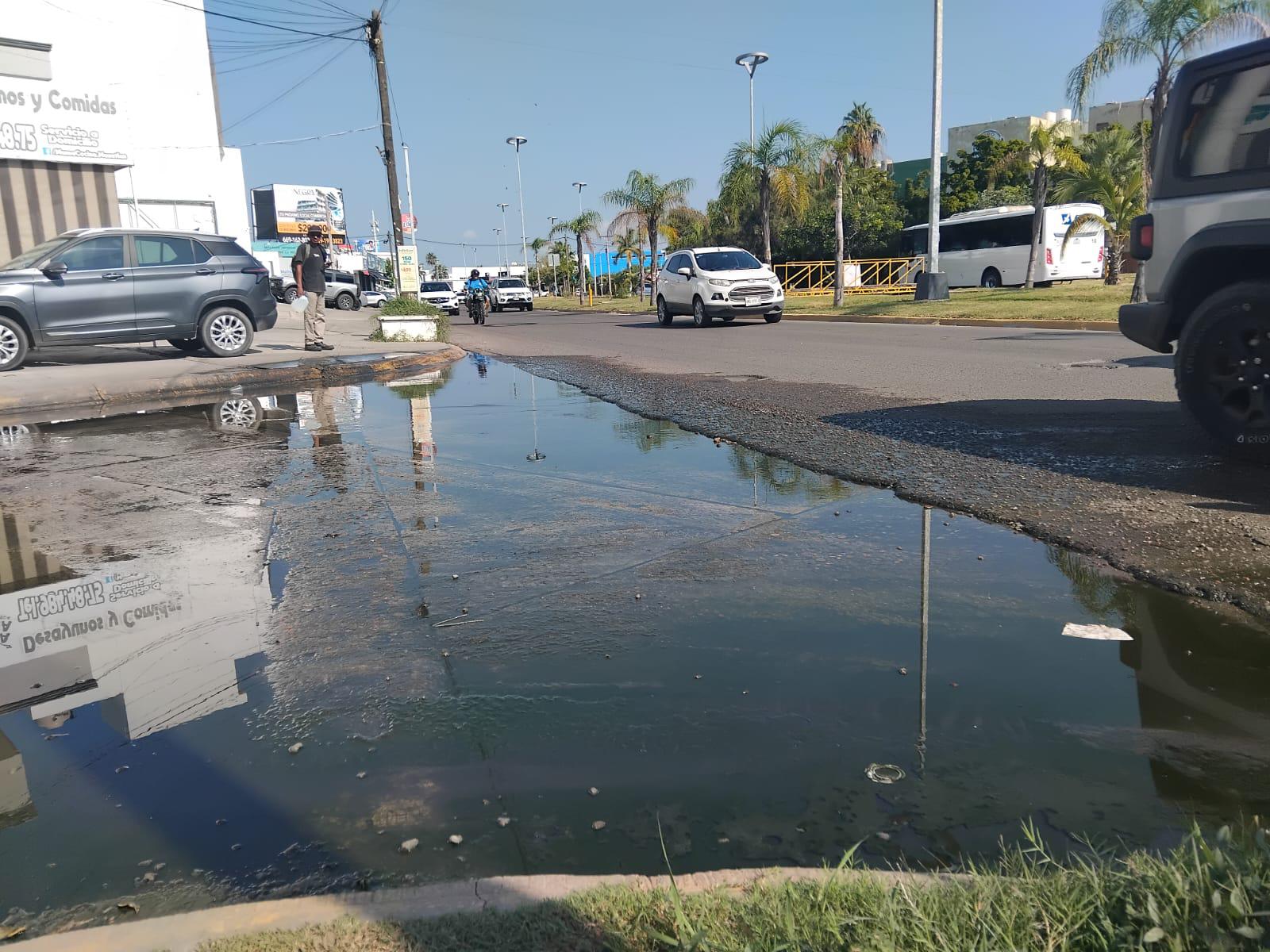 $!Viven vecinos de El Toreo entre aguas negras, malos olores y temor a enfermedades