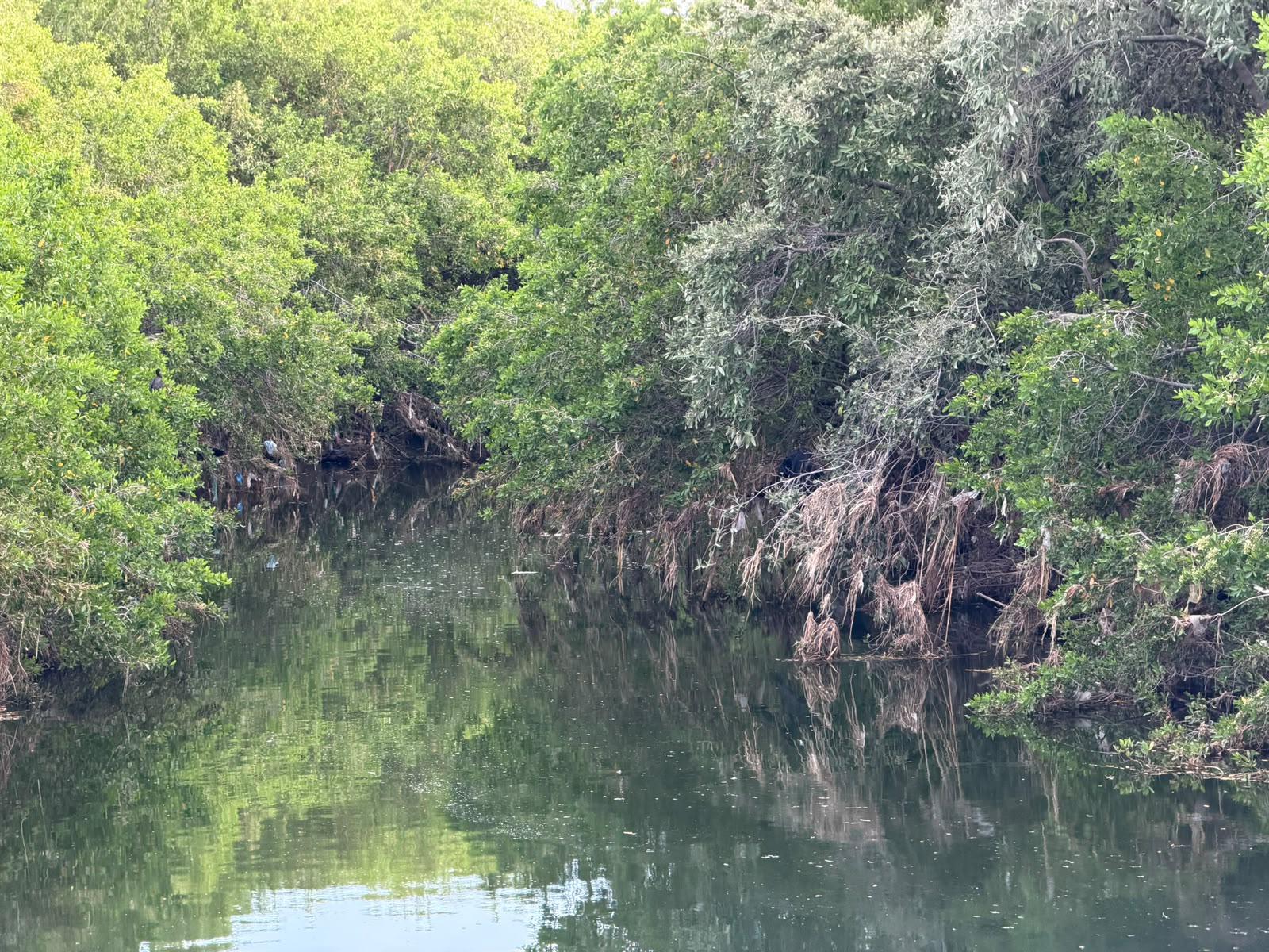 $!Semarnat plantea intervención integral para mejorar desfogue del Arroyo Jabalines