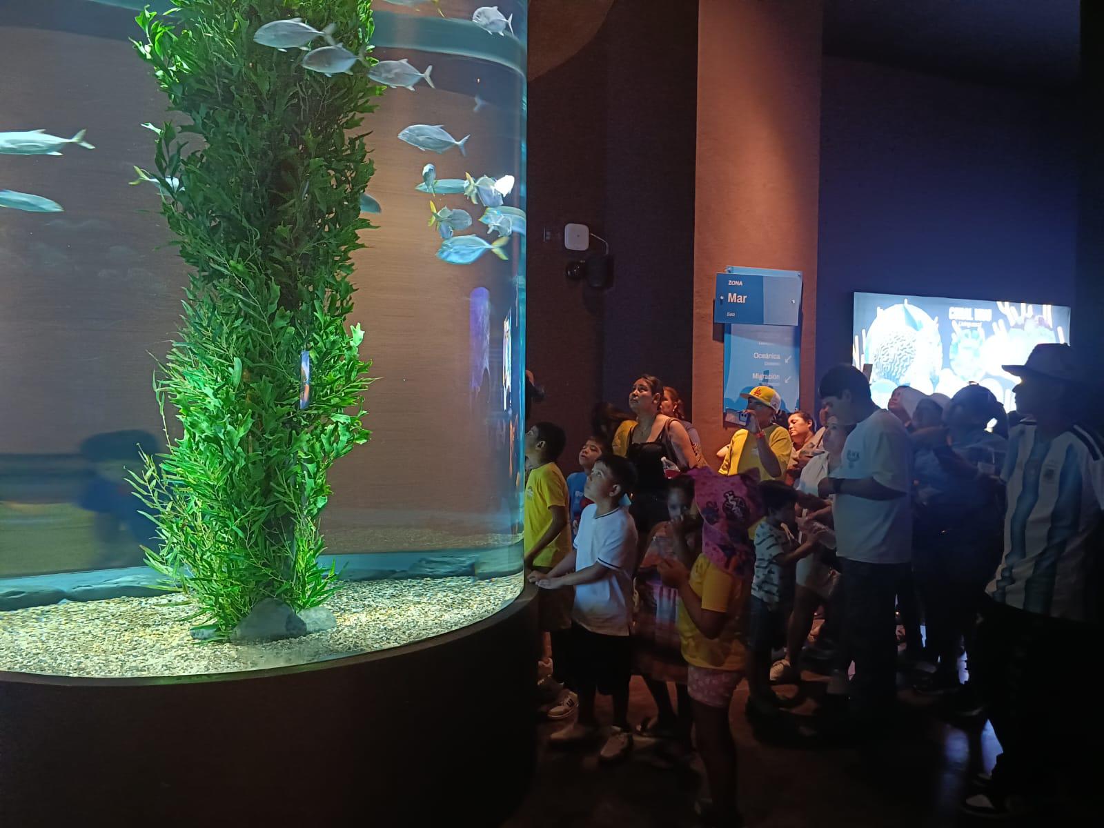 $!Niños de La Laguna cumplen en Mazatlán su sueño de conocer el mar