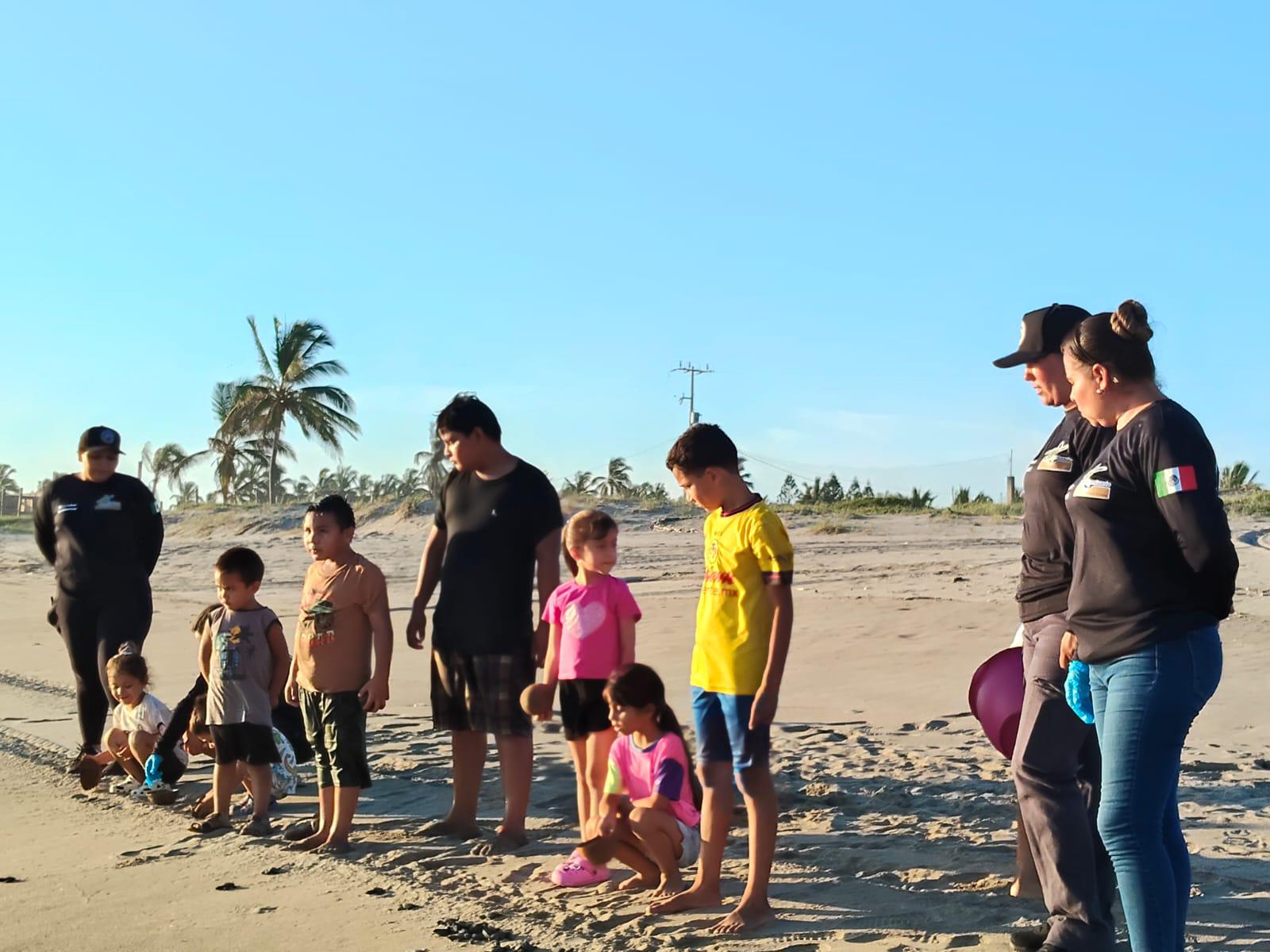 $!Liberan crías de tortuga en costas de Rosario