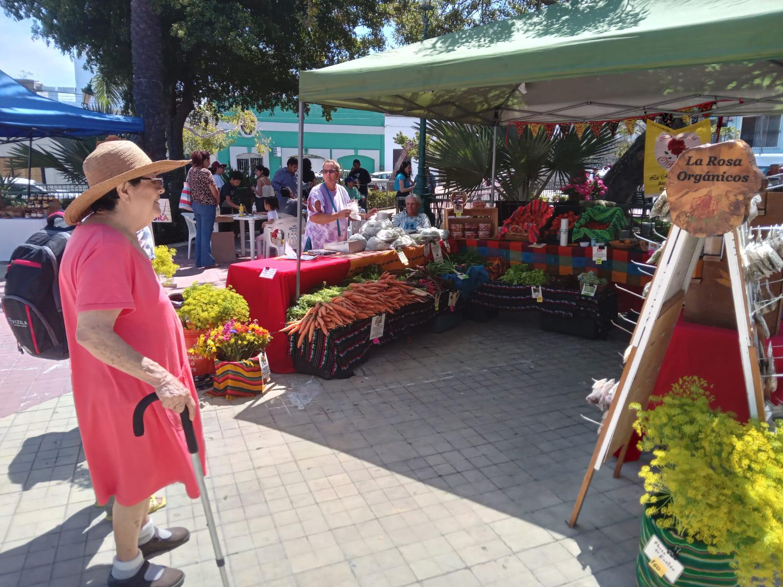 $!Invitan a asistir a los dos últimos sábados del Mercado Orgánico de Mazatlán