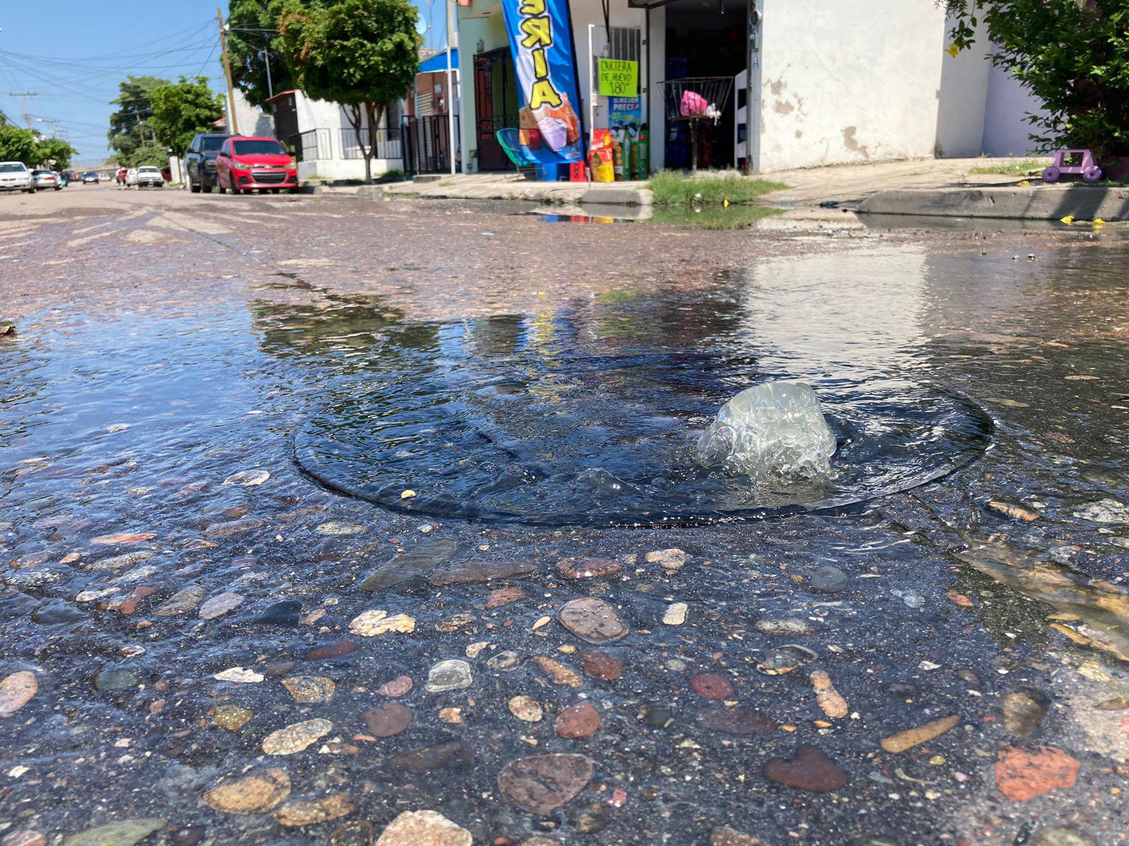 $!Brota drenaje y corre por calles de la 20 de Noviembre; No aguantan los fétidos olores