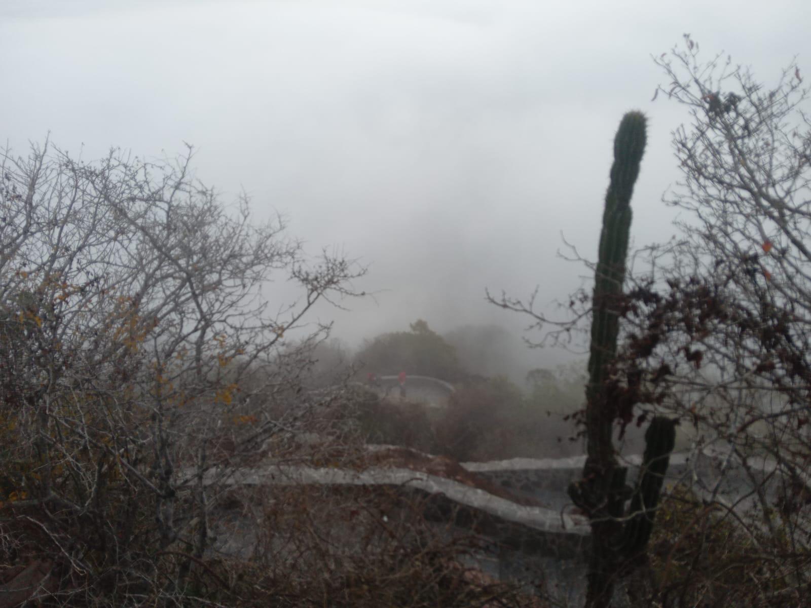 $!Mazatlán amanece frío y con neblina