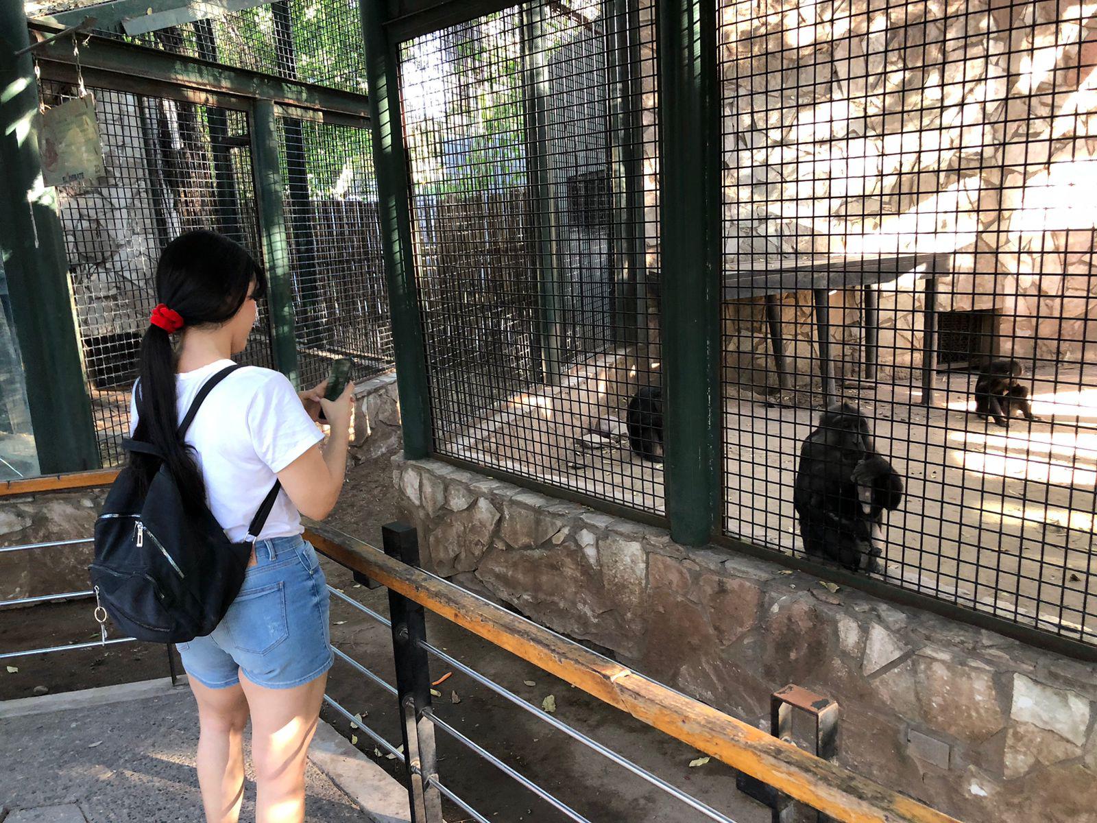 $!Culiacanenses disfrutan sus vacaciones en el Zoológico