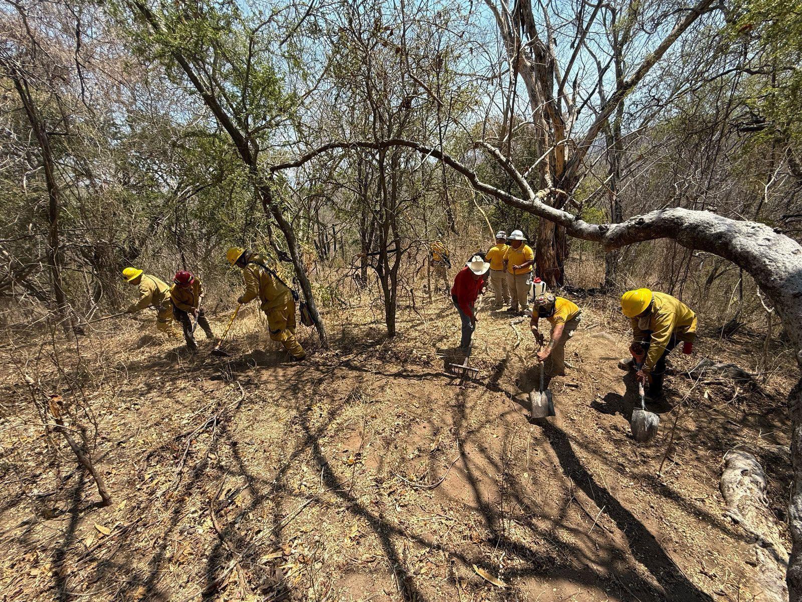 $!Afecta incendio forestal la sierra de La Noria; trabajan en combatir el fuego