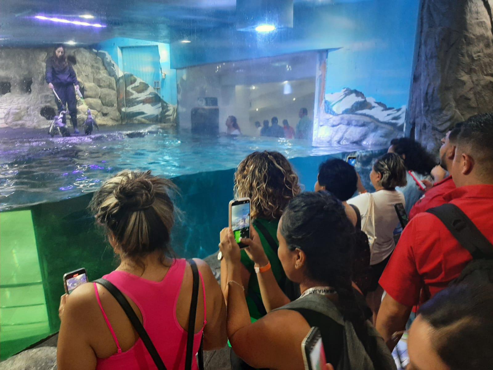 $!Agentes de viajes del país experimentan el Gran Acuario Mazatlán Mar de Cortés