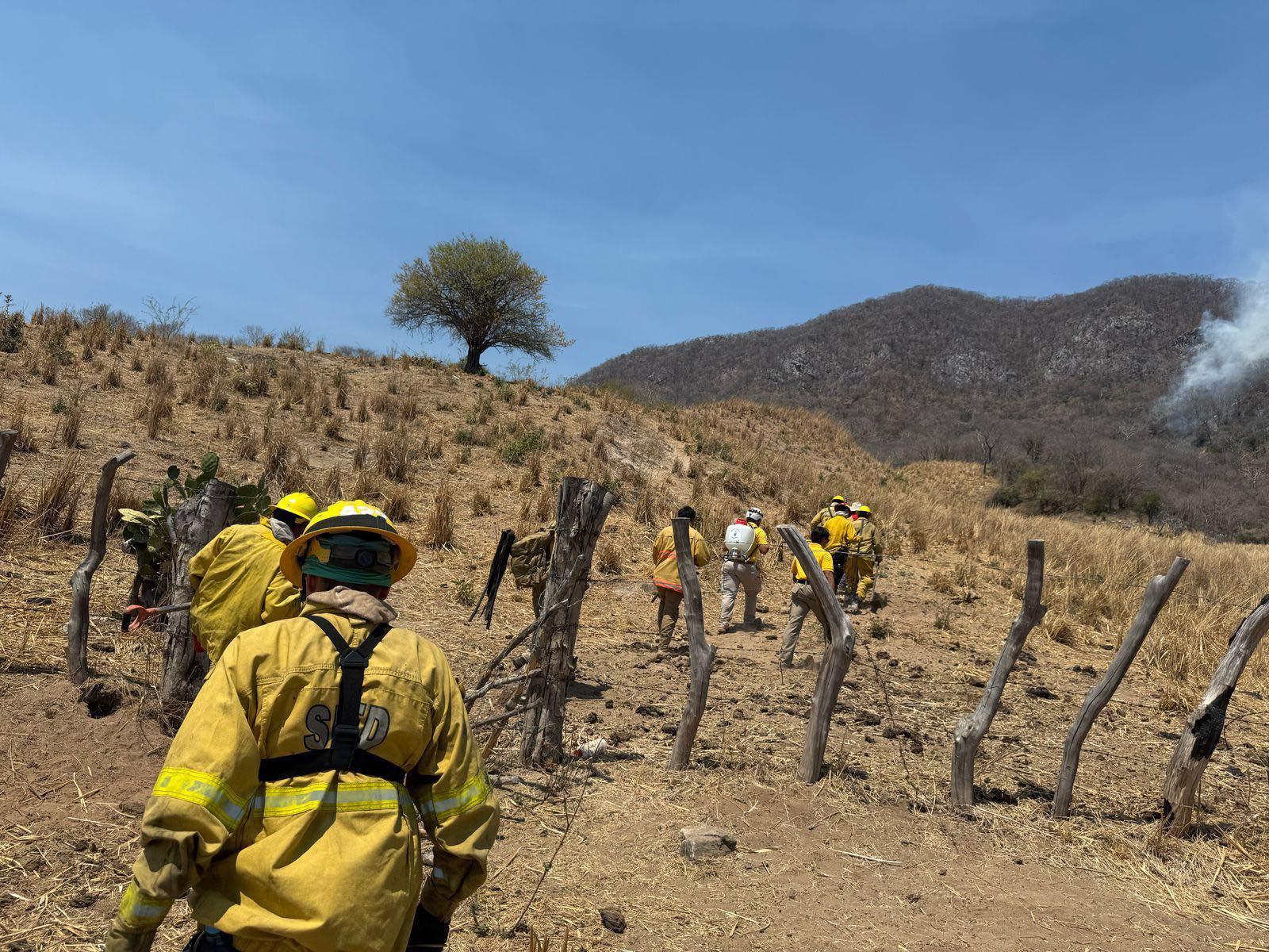 $!Afecta incendio forestal la sierra de La Noria; trabajan en combatir el fuego