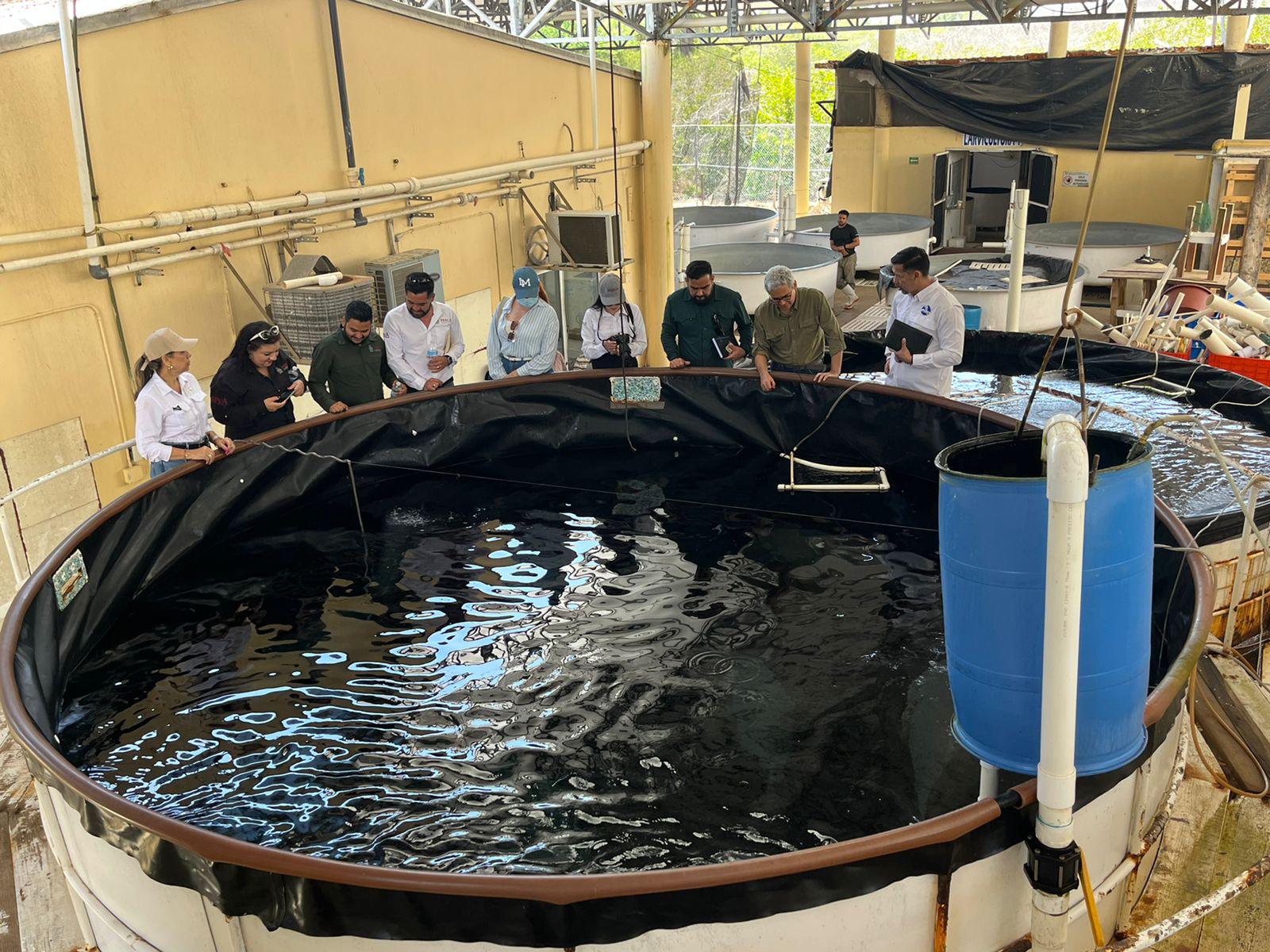 $!Reconoce Secretaría de Pesca labor del CIAD Mazatlán en acuicultura