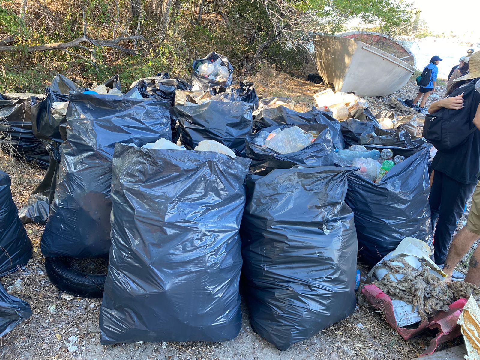 $!Extrae MazConciencia más 600 kilos de basura del manglar de la Isla de la Piedra
