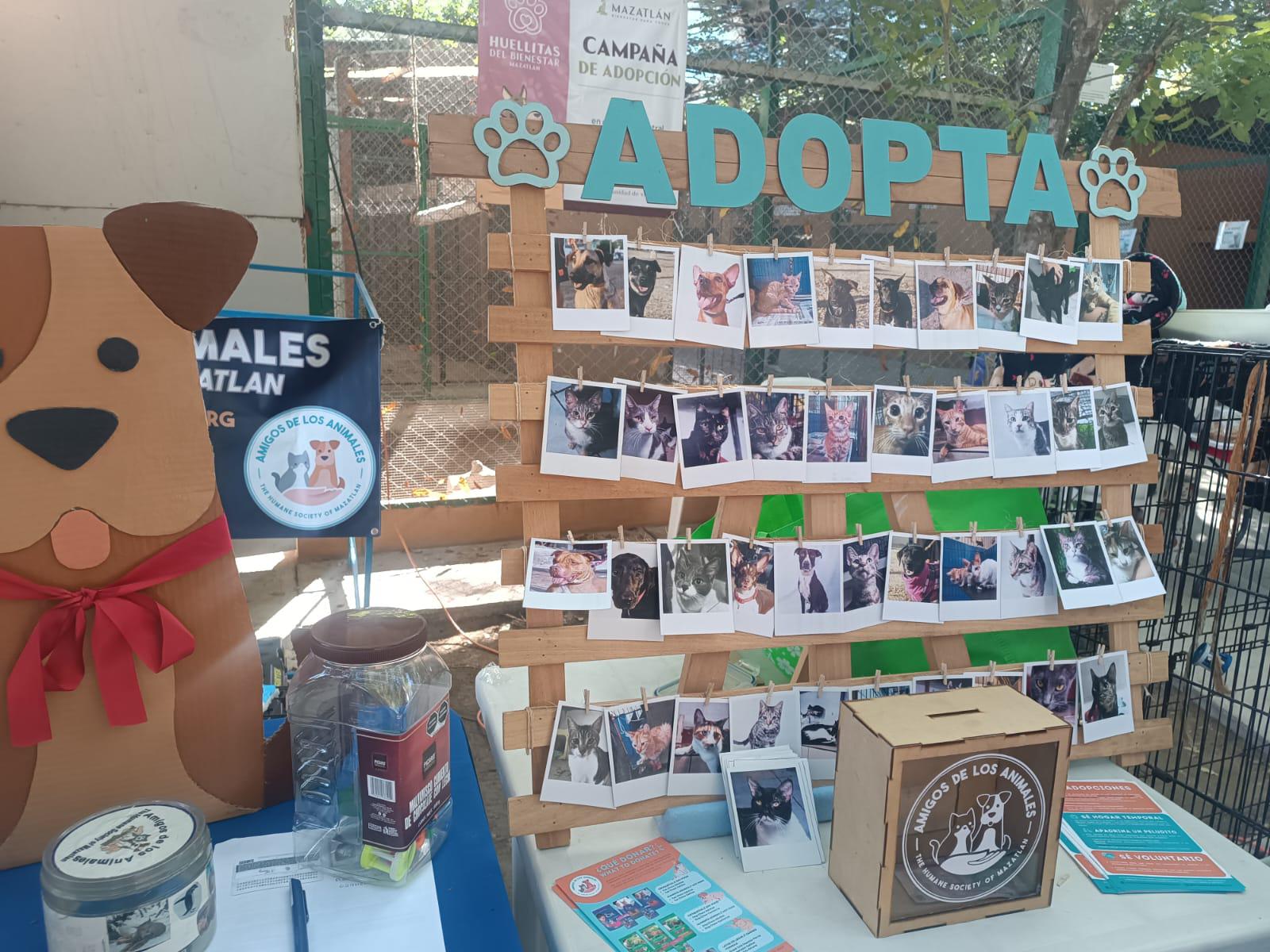 $!Siete mascotas encuentran un nuevo hogar gracias a la campaña Huellitas del Bienestar