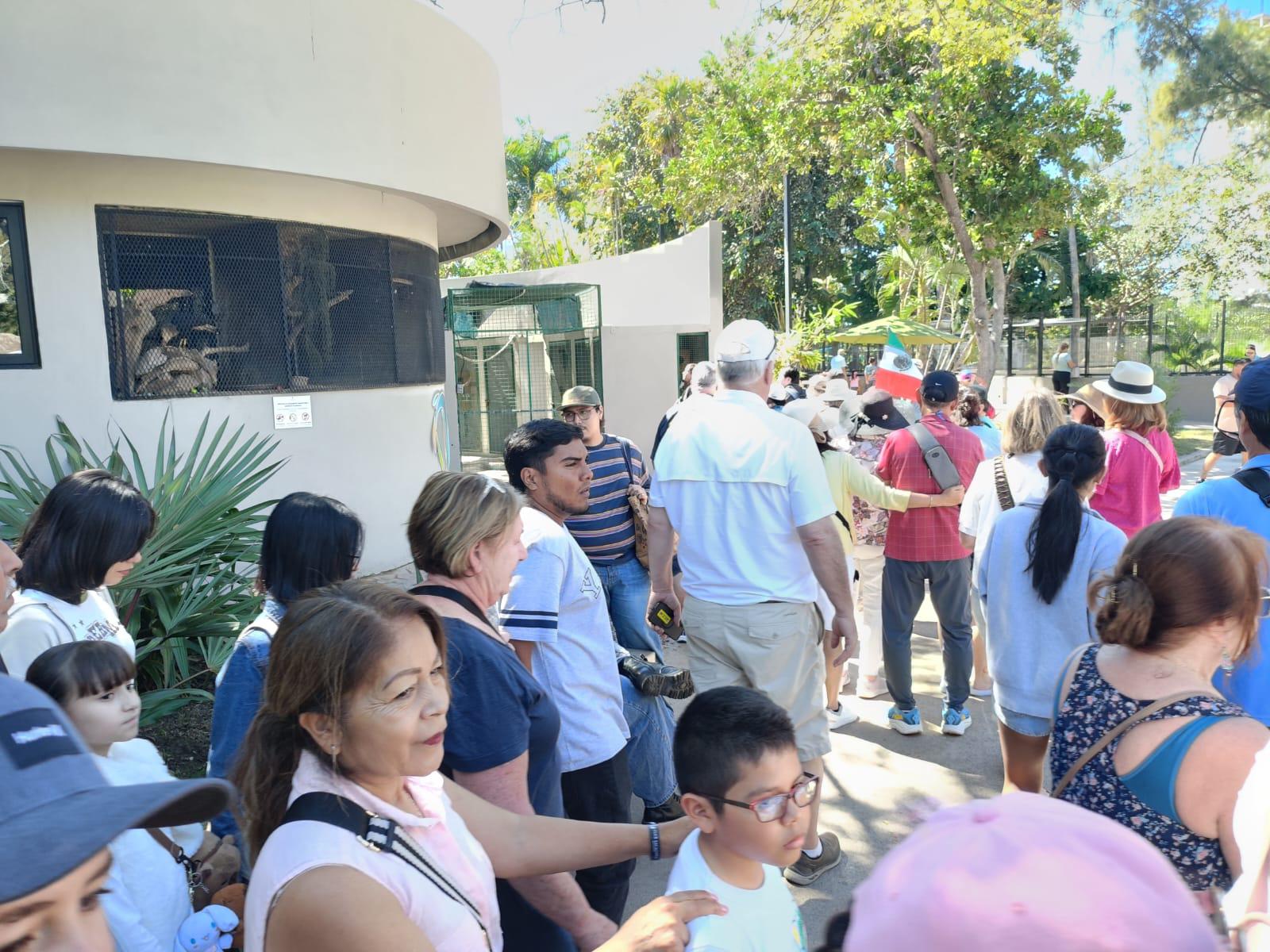$!Los cruceristas se enamoran del Gran Acuario Mazatlán